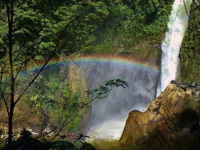Curug Lembah Pelangi, 1. Tempat Wisata di Bogor – Kebun Raya Bogor, 2. Tempat Wisata di Bogor – Istana Bogor, 3. Tempat Wisata di Bogor – Taman Safari, 4. Tempat Wisata di Bogor – Situ Gede, 5. Tempat Wisata di Bogor – Tirta Sanita Ciseeng, 6. Tempat Wisata di Bogor – Taman Mekarsari, 7. Tempat Wisata di Bogor – Kampung Budaya Sindangbarang, 8. Tempat Wisata di Bogor – Museum Zoologi Bogor, 9. Tempat Wisata di Bogor – Warso Farm, 10. Tempat Wisata di Bogor – Air Panas Ciparay, 11. Tempat Wisata di Bogor – Marcopolo Adventure, 12. Tempat Wisata di Bogor – Museum Etnobotani, 13. Tempat Wisata di Bogor – Museum Pembela Tanah Air, 14. Tempat Wisata di Bogor – Prasasti Batu Tulis, 15. Tempat Wisata di Bogor – The Jungle Water Adventure, 16. Tempat Wisata di Bogor – The Highland Park Resort, 17. Kolam Renang ZamZam Tirta – Ciomas, 18. Tempat Wisata di Bogor – Taman Wisata Matahari, 19. Tempat Wisata di Bogor – Agro Gunung Mas, 20. Tempat Wisata di Bogor – Taman Riung Gunung, 21. Tempat Wisata di Bogor – Gunung Pancar, 22. Tempat Wisata di Bogor – Air Terjun Bidadari, 23. Tempat Wisata di Bogor – Jungle Land Adventure Theme Park, 24. Tempat Wisata di Bogor – Taman Budaya Sentul, 25. Water Boom Yasmin Sport Center, 26. Curug Cibaliung, 27. Curug Cibaliung Rumah Pohon & Jembatan Kayu Gantung Curug Ciherang Jonggol, 28. Penangkaran Rusa Giri Jaya Cariu Bogor, 29. Little Venice Kota Bunga Puncak Bogor, 30. Curug Lembah Pelangi, 31. Kebun Wisata Pasirmukti, 32. Hutan Cifor, 33. Patung Buddha Tidur, 34. Puncak Paragaya, 35. Wisata Alam Curug Cipamingkis, 36. Penangkaran Elang Loji, 37. Gunung Batu Jonggol, 38. Gunung Munara Rumpin, 39. Gunung Kapur Klapanunggal, 40. Pemandian Air Panas Gunung Peyek, 41. Curug Country, 42. Fly Indonesia Paragliding, 43. Cimory Riverside