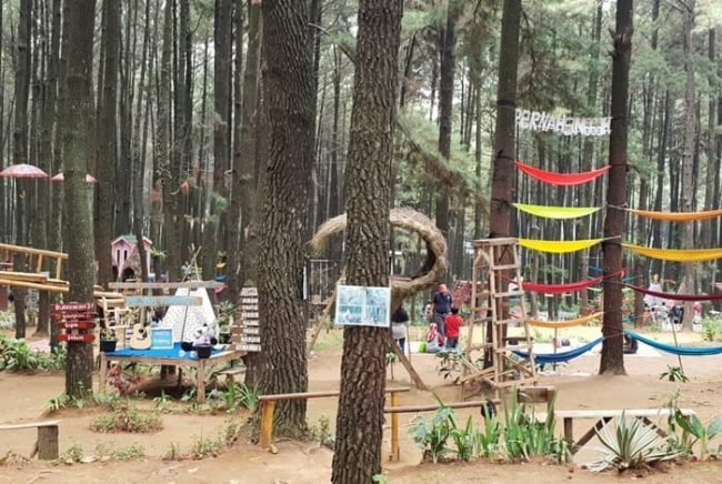 Gunung Pancar, 1. Pura Parahyangan Jagatkarta, Bogor, 2. Taman Bunga Nusantara, 3. Curug Cilember, Bogor, 4. Danau Dora, Bogor, 5. Curug Hordeng, Bogor, 6. Pasar Ah Poong, Sentul Bogor, 7. Curug Cibaliung, Bogor, 8. Goa Agung Garunggang, 9. Rumah Pohon dan Jembatan Kayu Gantung Curug Ciherang Jonggol , 10. Little Venice Kota Bunga Puncak , 11. Penangkaran Rusa Giri Jaya Cariu , 12. The Jungle Water Adventure , 13. Curug Bidadari Sentul Paradise Park , 14. Taman Sakura Kebun Raya Cibodas , 15. Warso Farm, Bogor , 16. Rafting Sungai Cisadane , 17. Jungleland Adventure Theme Park , 18. Fly Indonesia Paragliding , 19. Gunung Pancar, Bogor , 20. Taman Safari Indonesia , 21. Taman Wisata Mekarsari, Bogor , 22. The High Land Park Resort (Mongolian Camp Bogor) , 23. Kampung Budaya Sindangbarang , 24. Taman Wisata Matahari di Bogor , 25. Bukit Alesano, Bogor , 26. Bika Bogor Talubi