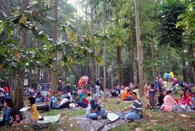 Hutan Cifor via Republika, 1. Tempat Wisata di Bogor – Kebun Raya Bogor, 2. Tempat Wisata di Bogor – Istana Bogor, 3. Tempat Wisata di Bogor – Taman Safari, 4. Tempat Wisata di Bogor – Situ Gede, 5. Tempat Wisata di Bogor – Tirta Sanita Ciseeng, 6. Tempat Wisata di Bogor – Taman Mekarsari, 7. Tempat Wisata di Bogor – Kampung Budaya Sindangbarang, 8. Tempat Wisata di Bogor – Museum Zoologi Bogor, 9. Tempat Wisata di Bogor – Warso Farm, 10. Tempat Wisata di Bogor – Air Panas Ciparay, 11. Tempat Wisata di Bogor – Marcopolo Adventure, 12. Tempat Wisata di Bogor – Museum Etnobotani, 13. Tempat Wisata di Bogor – Museum Pembela Tanah Air, 14. Tempat Wisata di Bogor – Prasasti Batu Tulis, 15. Tempat Wisata di Bogor – The Jungle Water Adventure, 16. Tempat Wisata di Bogor – The Highland Park Resort, 17. Kolam Renang ZamZam Tirta – Ciomas, 18. Tempat Wisata di Bogor – Taman Wisata Matahari, 19. Tempat Wisata di Bogor – Agro Gunung Mas, 20. Tempat Wisata di Bogor – Taman Riung Gunung, 21. Tempat Wisata di Bogor – Gunung Pancar, 22. Tempat Wisata di Bogor – Air Terjun Bidadari, 23. Tempat Wisata di Bogor – Jungle Land Adventure Theme Park, 24. Tempat Wisata di Bogor – Taman Budaya Sentul, 25. Water Boom Yasmin Sport Center, 26. Curug Cibaliung, 27. Curug Cibaliung Rumah Pohon & Jembatan Kayu Gantung Curug Ciherang Jonggol, 28. Penangkaran Rusa Giri Jaya Cariu Bogor, 29. Little Venice Kota Bunga Puncak Bogor, 30. Curug Lembah Pelangi, 31. Kebun Wisata Pasirmukti, 32. Hutan Cifor, 33. Patung Buddha Tidur, 34. Puncak Paragaya, 35. Wisata Alam Curug Cipamingkis, 36. Penangkaran Elang Loji, 37. Gunung Batu Jonggol, 38. Gunung Munara Rumpin, 39. Gunung Kapur Klapanunggal, 40. Pemandian Air Panas Gunung Peyek, 41. Curug Country, 42. Fly Indonesia Paragliding, 43. Cimory Riverside