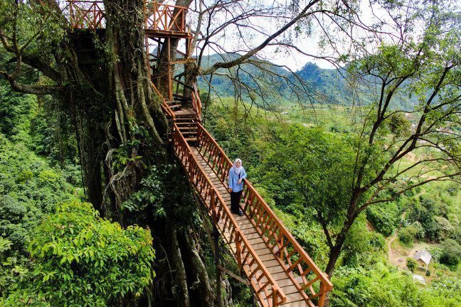 Jembatan Kayu Gantung Curug Ciherang Jonggol, 1. Pura Parahyangan Jagatkarta, Bogor, 2. Taman Bunga Nusantara, 3. Curug Cilember, Bogor, 4. Danau Dora, Bogor, 5. Curug Hordeng, Bogor, 6. Pasar Ah Poong, Sentul Bogor, 7. Curug Cibaliung, Bogor, 8. Goa Agung Garunggang, 9. Rumah Pohon dan Jembatan Kayu Gantung Curug Ciherang Jonggol , 10. Little Venice Kota Bunga Puncak , 11. Penangkaran Rusa Giri Jaya Cariu , 12. The Jungle Water Adventure , 13. Curug Bidadari Sentul Paradise Park , 14. Taman Sakura Kebun Raya Cibodas , 15. Warso Farm, Bogor , 16. Rafting Sungai Cisadane , 17. Jungleland Adventure Theme Park , 18. Fly Indonesia Paragliding , 19. Gunung Pancar, Bogor , 20. Taman Safari Indonesia , 21. Taman Wisata Mekarsari, Bogor , 22. The High Land Park Resort (Mongolian Camp Bogor) , 23. Kampung Budaya Sindangbarang , 24. Taman Wisata Matahari di Bogor , 25. Bukit Alesano, Bogor , 26. Bika Bogor Talubi