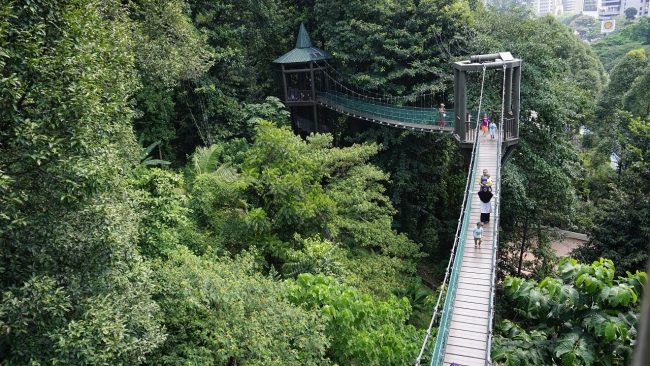 Kuala Lumpur Forest Eco Park - Tempat Wisata di Kuala Lumpur, 1. Museum Kesenian Islam Malaysia, 2. Kuala Lumpur City Gallery, 3. Menara Kembar Petronas Malaysia, 4. Pusat Kota Kuala Lumpur (KLCC), 5. Bukit Bintang Walkway Malaysia (The Golden Triangle), 6. Jembatan Putrajaya Malaysia, 7. Taman Burung Kuala Lumpur, 8. Kuala Lumpur Convention Center, 9. Menara Kuala Lumpur (KL Tower), 10. Jalan Alor Malaysia, 11. National Mosque Malaysia (Masjid Negara), 12. Aquaria KLCC, 13. Sri Mahamariamman Malaysia, 14. Sultan Abdul Samad Building Malaysia, 15. Dataran Merdeka atau Merdeka Square Malaysia, 16. Berjaya Times Square Theme Park, 17. Masjid Jamek Malaysia, 18. Chinatown Kuala Lumpur, 19. Istana Negara Malaysia, 20. Berjaya Time Square Theme Park, 21. Batu Caves, 22. Lake Gardens (Taman Tasik Perdana), 23. Kuil Thean Hou, 24. Rumah Penghulu Abu Seman, 25. Lake Symphony – Kuala Lumpur, 26. Little India – Kuala Lumpur, 27. Railway Station and Administration Building, 28. District 21 Kuala Lumpur, 29. Petrosains Discovery Centre, 30. Kuala Lumpur National Zoo & Aquarium, 31. Wisata Religi Masjid Putrajaya, 32. Sunway Lagoon Theme Park, 33. Kuala Lumpur Forest Eco Park, 34. Istana Budaya, 35. Jalan Alor, 36. Pusat Sains Negara, 36. i-City Shah Alam, 37. Bukit Tabur, 38. Skytrex Adventure, 39. National Textile Museum, 40. Sin Sze Ya Temple, 42. Royal Malaysian Police Museum, 43. Kuala Lumpur Butterfly Park, 44. Pasar Seni, 45. Suria KLCC, 46. Taman Botani Perdana, 47. Genting Highlands, 48. Museum Negara Malaysia, 49. Taman KLCC, 50. Tugu Negara, 51. Bukit Nanas, 52. Planetarium Negara, 53. Istana Negara Kuala Lumpur, 54. Menara KL118, 55. Titiwangsa Lake Gardens, 56. Petronas Gallery, 57. KL Tower Mini Zoo, 58. KidZania Kuala Lumpur