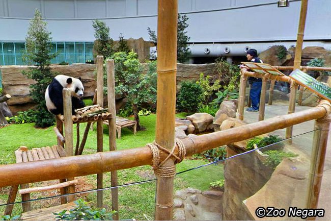Kuala Lumpur National Zoo & Aquarium - Tempat Wisata di Kuala Lumpur, 1. Museum Kesenian Islam Malaysia, 2. Kuala Lumpur City Gallery, 3. Menara Kembar Petronas Malaysia, 4. Pusat Kota Kuala Lumpur (KLCC), 5. Bukit Bintang Walkway Malaysia (The Golden Triangle), 6. Jembatan Putrajaya Malaysia, 7. Taman Burung Kuala Lumpur, 8. Kuala Lumpur Convention Center, 9. Menara Kuala Lumpur (KL Tower), 10. Jalan Alor Malaysia, 11. National Mosque Malaysia (Masjid Negara), 12. Aquaria KLCC, 13. Sri Mahamariamman Malaysia, 14. Sultan Abdul Samad Building Malaysia, 15. Dataran Merdeka atau Merdeka Square Malaysia, 16. Berjaya Times Square Theme Park, 17. Masjid Jamek Malaysia, 18. Chinatown Kuala Lumpur, 19. Istana Negara Malaysia, 20. Berjaya Time Square Theme Park, 21. Batu Caves, 22. Lake Gardens (Taman Tasik Perdana), 23. Kuil Thean Hou, 24. Rumah Penghulu Abu Seman, 25. Lake Symphony – Kuala Lumpur, 26. Little India – Kuala Lumpur, 27. Railway Station and Administration Building, 28. District 21 Kuala Lumpur, 29. Petrosains Discovery Centre, 30. Kuala Lumpur National Zoo & Aquarium, 31. Wisata Religi Masjid Putrajaya, 32. Sunway Lagoon Theme Park, 33. Kuala Lumpur Forest Eco Park, 34. Istana Budaya, 35. Jalan Alor, 36. Pusat Sains Negara, 36. i-City Shah Alam, 37. Bukit Tabur, 38. Skytrex Adventure, 39. National Textile Museum, 40. Sin Sze Ya Temple, 42. Royal Malaysian Police Museum, 43. Kuala Lumpur Butterfly Park, 44. Pasar Seni, 45. Suria KLCC, 46. Taman Botani Perdana, 47. Genting Highlands, 48. Museum Negara Malaysia, 49. Taman KLCC, 50. Tugu Negara, 51. Bukit Nanas, 52. Planetarium Negara, 53. Istana Negara Kuala Lumpur, 54. Menara KL118, 55. Titiwangsa Lake Gardens, 56. Petronas Gallery, 57. KL Tower Mini Zoo, 58. KidZania Kuala Lumpur