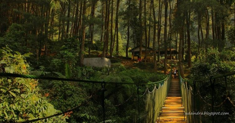 Penangkaran Elang Loji via Udaindra.blogspotcom, 1. Tempat Wisata di Bogor – Kebun Raya Bogor, 2. Tempat Wisata di Bogor – Istana Bogor, 3. Tempat Wisata di Bogor – Taman Safari, 4. Tempat Wisata di Bogor – Situ Gede, 5. Tempat Wisata di Bogor – Tirta Sanita Ciseeng, 6. Tempat Wisata di Bogor – Taman Mekarsari, 7. Tempat Wisata di Bogor – Kampung Budaya Sindangbarang, 8. Tempat Wisata di Bogor – Museum Zoologi Bogor, 9. Tempat Wisata di Bogor – Warso Farm, 10. Tempat Wisata di Bogor – Air Panas Ciparay, 11. Tempat Wisata di Bogor – Marcopolo Adventure, 12. Tempat Wisata di Bogor – Museum Etnobotani, 13. Tempat Wisata di Bogor – Museum Pembela Tanah Air, 14. Tempat Wisata di Bogor – Prasasti Batu Tulis, 15. Tempat Wisata di Bogor – The Jungle Water Adventure, 16. Tempat Wisata di Bogor – The Highland Park Resort, 17. Kolam Renang ZamZam Tirta – Ciomas, 18. Tempat Wisata di Bogor – Taman Wisata Matahari, 19. Tempat Wisata di Bogor – Agro Gunung Mas, 20. Tempat Wisata di Bogor – Taman Riung Gunung, 21. Tempat Wisata di Bogor – Gunung Pancar, 22. Tempat Wisata di Bogor – Air Terjun Bidadari, 23. Tempat Wisata di Bogor – Jungle Land Adventure Theme Park, 24. Tempat Wisata di Bogor – Taman Budaya Sentul, 25. Water Boom Yasmin Sport Center, 26. Curug Cibaliung, 27. Curug Cibaliung Rumah Pohon & Jembatan Kayu Gantung Curug Ciherang Jonggol, 28. Penangkaran Rusa Giri Jaya Cariu Bogor, 29. Little Venice Kota Bunga Puncak Bogor, 30. Curug Lembah Pelangi, 31. Kebun Wisata Pasirmukti, 32. Hutan Cifor, 33. Patung Buddha Tidur, 34. Puncak Paragaya, 35. Wisata Alam Curug Cipamingkis, 36. Penangkaran Elang Loji, 37. Gunung Batu Jonggol, 38. Gunung Munara Rumpin, 39. Gunung Kapur Klapanunggal, 40. Pemandian Air Panas Gunung Peyek, 41. Curug Country, 42. Fly Indonesia Paragliding, 43. Cimory Riverside