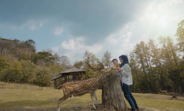 Penangkaran Rusa Giri Jaya Cariu Bogor via IG @armandaferry, 1. Pura Parahyangan Jagatkarta, Bogor, 2. Taman Bunga Nusantara, 3. Curug Cilember, Bogor, 4. Danau Dora, Bogor, 5. Curug Hordeng, Bogor, 6. Pasar Ah Poong, Sentul Bogor, 7. Curug Cibaliung, Bogor, 8. Goa Agung Garunggang, 9. Rumah Pohon dan Jembatan Kayu Gantung Curug Ciherang Jonggol , 10. Little Venice Kota Bunga Puncak , 11. Penangkaran Rusa Giri Jaya Cariu , 12. The Jungle Water Adventure , 13. Curug Bidadari Sentul Paradise Park , 14. Taman Sakura Kebun Raya Cibodas , 15. Warso Farm, Bogor , 16. Rafting Sungai Cisadane , 17. Jungleland Adventure Theme Park , 18. Fly Indonesia Paragliding , 19. Gunung Pancar, Bogor , 20. Taman Safari Indonesia , 21. Taman Wisata Mekarsari, Bogor , 22. The High Land Park Resort (Mongolian Camp Bogor) , 23. Kampung Budaya Sindangbarang , 24. Taman Wisata Matahari di Bogor , 25. Bukit Alesano, Bogor , 26. Bika Bogor Talubi