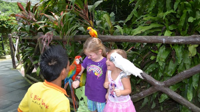 Taman Burung Kuala Lumpur, 1. Museum Kesenian Islam Malaysia, 2. Kuala Lumpur City Gallery, 3. Menara Kembar Petronas Malaysia, 4. Pusat Kota Kuala Lumpur (KLCC), 5. Bukit Bintang Walkway Malaysia (The Golden Triangle), 6. Jembatan Putrajaya Malaysia, 7. Taman Burung Kuala Lumpur, 8. Kuala Lumpur Convention Center, 9. Menara Kuala Lumpur (KL Tower), 10. Jalan Alor Malaysia, 11. National Mosque Malaysia (Masjid Negara), 12. Aquaria KLCC, 13. Sri Mahamariamman Malaysia, 14. Sultan Abdul Samad Building Malaysia, 15. Dataran Merdeka atau Merdeka Square Malaysia, 16. Berjaya Times Square Theme Park, 17. Masjid Jamek Malaysia, 18. Chinatown Kuala Lumpur, 19. Istana Negara Malaysia, 20. Berjaya Time Square Theme Park, 21. Batu Caves, 22. Lake Gardens (Taman Tasik Perdana), 23. Kuil Thean Hou, 24. Rumah Penghulu Abu Seman, 25. Lake Symphony – Kuala Lumpur, 26. Little India – Kuala Lumpur, 27. Railway Station and Administration Building, 28. District 21 Kuala Lumpur, 29. Petrosains Discovery Centre, 30. Kuala Lumpur National Zoo & Aquarium, 31. Wisata Religi Masjid Putrajaya, 32. Sunway Lagoon Theme Park, 33. Kuala Lumpur Forest Eco Park, 34. Istana Budaya, 35. Jalan Alor, 36. Pusat Sains Negara, 36. i-City Shah Alam, 37. Bukit Tabur, 38. Skytrex Adventure, 39. National Textile Museum, 40. Sin Sze Ya Temple, 42. Royal Malaysian Police Museum, 43. Kuala Lumpur Butterfly Park, 44. Pasar Seni, 45. Suria KLCC, 46. Taman Botani Perdana, 47. Genting Highlands, 48. Museum Negara Malaysia, 49. Taman KLCC, 50. Tugu Negara, 51. Bukit Nanas, 52. Planetarium Negara, 53. Istana Negara Kuala Lumpur, 54. Menara KL118, 55. Titiwangsa Lake Gardens, 56. Petronas Gallery, 57. KL Tower Mini Zoo, 58. KidZania Kuala Lumpur