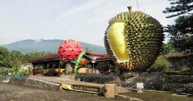 Warso Farm via inews, Informasi Umum, Daya Tarik Warso Farm, Harga Durian di Warso Farm Cihideung Bogor, Alamat Warso Farm Cihideung Bogor, Fasilitas, Aktivitas Seru di Warso Farm, Tips Berkunjung, Galeri Foto Warso Farm