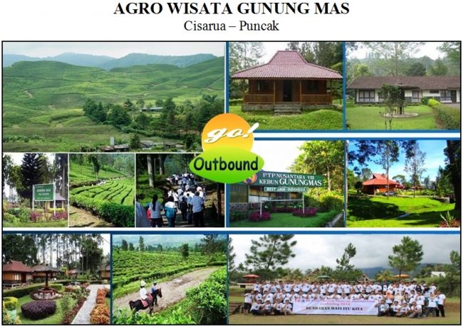 Agro Wisata Gunung Mas, 1. Pantai Ancol, 2. Wisata Alam Angke Kapuk, 3. Kebun Raya Bogor, 4. Taman Safari Indonesia, 5. Taman Wisata Wiladatika, 6. Kampung 99 Pepohonan, 7. Situ Cipondoh, 8. Bendungan Pintu Air Sepuluh, 9. Waterboom Lippo Cikarang, 10. Rumah Pohon Bekasi, 11. Pulau Tidung, 12. Kebun Binatang Ragunan, 13. Puncak Pass, 14. Pantai Muara Beting, 15. Danau Cibeureum, 1. Agrowisata Gunung Mas, 2. Warso Farm, 3. Agrowisata Pasir Mukti, 4. Agrowisata Kuntum Nurseries, 5. Sweetberry Agrowisata Puncak, 6. Wisata Edukasi Agro Sentul, 7. D’Kandang Farm, 8. Taman Agro Cilangkap, 9. Cibubur Garden Diary (Cibugary), 10. Agrowisata Belimbing Dewa