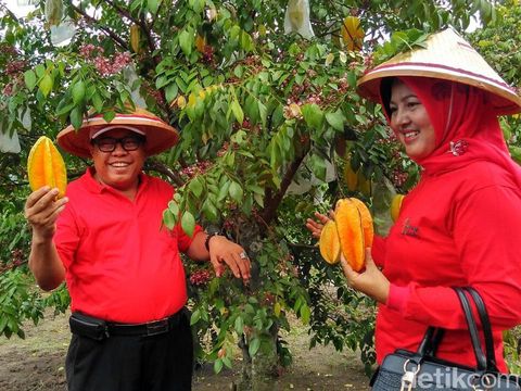 Agrowisata Karangsari Blitar via Detik, 1. Kampung Coklat, 2. Taman Kebon Rojo, 3. Pantai Tambakrejo, 4. Pantai Pangi, 5. Perkebunan Teh Sirah Kencong, 6. Pantai Serang, 7. Blitar Park, 8. Petilasan Rambut Monte, 9. Candi Penataran, 10. Pantai Peh Pulo, 11. Goa Embultuk, 12. Candi Gambar Wetan, 13. Situs Arca Warak, 14. Candi Kotes, 15. Candi Sawentar, 16. Makam Bung Karno, 17. Istana Gebang, 18. Water Park Sumberudel, 19. Desa Wisata Semen, 20. Wisata Sejarah Monumen Trisula, 21. Penangkaran Rusa Maliran, 22. Agrowisata Karangsari Blitar, 23. Gunung Butak, 24. Pantai Gondo Mayit, 25. Air Terjun Coban Wilis, 26. Air Terjun Sirah Kencong, 27. Air Terjun Grenjeng, 28. Air Terjun Jurug Bening , 29. Objek Wisata Alam Pacuh, 30. Pantai Umbul Waru, 31. Curug dan Kedung Badrun, 32. Air Terjun Lawean, 33. Pantai Jolosutro, 34. Arung Jeram Soko Adventure Blitar, 35. Goa Maria Sendang Rejo, 36. Gardu Pandang Perkebunan Gambar, 37. Omah Djadoel, 38. Gunung Kelud, 39. Air Terjun Kedung Entong, 40.  Air Terjun Tirto Galuh, 41. Taman Jurug Goa Luweng Prodo, 42. Bukit Teletubies Blitar, 43. Hutan Pinus Gogoniti, 44. Kampung Afrika Blitar, 45. Gunung Butak, 46. Pantai Pasur, 47. Pantai Serit, 48. Monumen PETA, 49. Wisata Alam Paco, 50. Bendungan Serut, 51. Arca Gamprang, 52. Candi Simping, 53. Jurug Moncar, 54. Candi Mleri, 55. Candi Kalicilik, 56. Alun-alun Blitar, 57. Blitar Green Park, 58. Taman Pecut, 59. Fish Garden Blitar, 60. Kaloka Lodoyo, 61. Pemandian Sumur Amber Kandangan, 62. Bendungan Wlingi Raya, 63. Taman Idaman Hati Wlingi Blitar, 64. Villa Puncak Pesanggrahan Tambakrejo