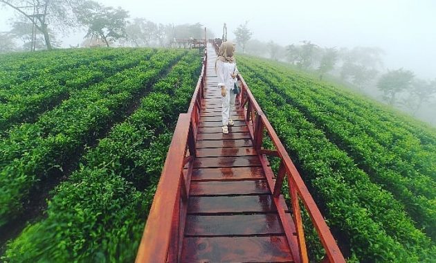 Agrowisata Wonosari Malang via iG @pitaloka2050, 1. Wisata Pantai Batu Bengkung Malang, 2. Wisata Batu Night Spectacular (BNS) Malang, 3. Wisata Jatim Park 1, 4. Wahana Wisata Jatim Park 2 Malang, 5. Alun-alun kota Malang, 6. Wisata Petik Apel Malang, 7. Masjid Tiban Malang, 8. Wisata Alam Air Terjun Coban Rondo Malang, 9. Wahana Wisata Eco Green Park Malang, 10. Wisata Museum Angkut Malang, 11. Wisata Pulau Sempu Malang, 12. Wisata Pantai Balekambang Malang, 13. Objek Wisata Bendungan Karangkates Malang, 14. Wahana Wisata Wendit Water Park Malang, 15. Tempat wisata Alam Selecta Malang, 16. Objek Wisata Agrowisata Wonosari Malang, 17. Wahana Wisata Taman Rekreasi Sengkaling Malang, 18. Wisata Kuliner dan Edukasi di Inggil Museum Resto Malang, 19. Wisata Alam Menikmati Kecantikan Alam Ala Omah kayu Malang, 20. Objek Wisata Uji Adrenalin Wisata Paralayang Malang, 21. Wisata Alam 7 Air Terjun Sumber Pitu Malang, 22. Berwisata Menikmati Keperawanan Pantai Sipelot Malang, 23. Tempat Wisata Edukasi Museum Kesehatan Jiwa Malang, 24. Wisata Alam Sumber Air Krabyakan Malang, 25. Wisata Pantai Ngliyep nan Indah di Malang, 26. Wisata Sejarah di Museum D’Topeng Malang, 27. Objek Wisata Panen Madu di Agro Tawon Rimba Raya Malang, 28. Wisata Sejarah Gerbong Maut di Museum Brawijaya Malang, 29. Wisata Edukasi Museum Malang Tempo Doeloe, 30. Objek Wisata Pemandian Air Panas Cangar Batu Malang, 31. Objek Wisata Secret zoo Kebun Binatang Batu Malang, 32. Tempat Wisata Kuliner Es Krim Legendaris di Toko Oen Malang, 33. Mata Air Sumber Sirah, 34. Coban Nirwana atau Coban Mbok Karimah, 35. Pemandian Kalireco Lawang, 36. Teluk Bidadari, 37. Banyu Anjlok, 38. Wisata Tubing Wringinanom, 39. Coban Tundo, 40. Pantai Kedung Celeng, 41. Air Terjun Coban Pelangi, 42. Gua Lo Bangi, 43. Ndayung Rafting, 44. Waduk Selorejo Malang, 45. Pantai Tiga Warna Malang, 46. Teluk Kletekan Malang, 47. Pantai Lenggoksono Malang, 48. Pantai Bajul Mati Malang, 49. Jawa Timur Park 3, 50. Kampung Warna Warni Jodipan, 51. Candi Badut, 51. Sumber Jenon, 52. Wisata Pujon Kidul, 53. Pantai Sendang Biru, 54. Hawai Waterpark, 55. Pura Luhur Giri Arjuno, 56. Museum Tubuh, 57. Kusuma Waterpark, 58. Candi Songgoriti, 59. Taman Singha Merjosari, 60. Taman Kelinci, 61. Candi Singosari, 62. Pura Luhur Giri Arjuno, 63. Masjid Agung Malang, 64. Masjid Annur Batu, 65. Coban Rais, 66. River Tubing di Sungai Amprong, 67. Sumber Maron, 68. Coban Jahe, 69. Coban Talun, 70. Coban Parang Tejo, 71. Coban Gintung, 72. Coban Sewu, 73. Coban Putri, 74. Rafting Kaliwatu, 75. Sumber Taman, 76. Bukit Bulu, 77. De Tjangkul Batu, 78. Taman Labirin Coban Rondo, 79. Bukit Binglis, 80. Bukit Cinta, 81. Bukit Bintang, 82. Bukit Teletubbies, 83. Bukit Asmoro, 84. Bukit Budug Asu, 85. Pantai Banyu Meneng, 86. Pantai Selok, 87. Pantai Sendiki, 88. Pantai Goa Cina, 89. Pantai Sendang Biru, 90. Pantai Watu Leter, 91. Pantai Wedi Awu, 92. Pantai Jonggring Saloko, 93. Pantai Wedi Putih, 94. Pantai Bangsong, 95. Pantai Teluk Asmoro, 96. Pantai Telok, 97. Pantai Parang Dowo, 98. Pantai Jolangkung, 99. Pantai Tomen