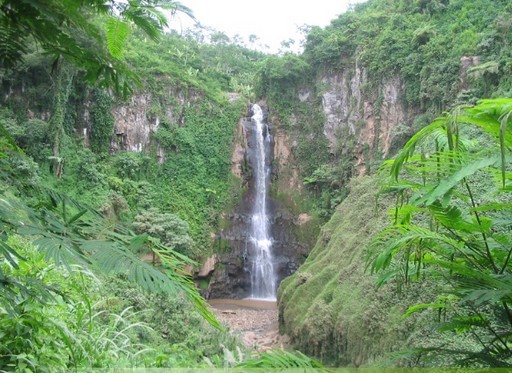 Air Terjun Manggisan, 1. Tempat Wisata Pantai Pasir Putih Malikan (Papuma) Jember, 2. Tempat Wisata Pantai Watu Ulo Jember, 3. Tempat Wisata Keluarga Pantai Bandealit di Jember, 4. Tempat Wisata Pantai Puger di Jember, 5. Obyek Wisata Keluarga Tiara Waterpark di Jember, 6. Objek Wisata Keluarga Pemandian Kebon Agung di Jember, 7. Tempat Wisata Edukasi Taman Botani Jember, 8. Wahana Liburan Seru Waterboom Niagara di Jember, 9. Destinasi Wisata Populer Kawasan Puncak Rembangan di Jember, 10. Tempat Wisata Alam Air Terjun Tancak di Jember, 11. Tujuan Wisata Keluarga Pemandian Patemon di Jember, 12. Tempat Wisata Sejarah Situs Duplang di Jember, 13. Obyek Wisata Pantai Paseban di Jember, 14. Obyek Wisata Pemandian Rembangan di Jember, 15. Obyek Wisata Menarik Loko Lori di Jember, 16. Tempat Wisata Alam Air Terjun Antrokan di Jember, 17. Kafe Kolong di Jember, 18. Obyek Wisata Bedadung di Jember (Sudah Tutup), 19. Wisata ke Perkebunan Teh Gunung Gambir di Jember, 20. Obyek Wisata Pemandian Oleng Sibutong di jember, 21. Kimo Swimming Pool, 22. Air Terjun Manggisan, 23. Air Terjun Sumber Salak, 24. Pantai Payangan, 25. Pantai Rowo Cangak, 26. Pantai Teluk Love, 27. Agrowisata Tembakau, 28. Wisata Agro Glantangan, 29. Dira Park, 30. Agrowisata Mumbul Garden Jember, 31. Taman Nasional Meru Betiri, 32. Museum Tembakau Jember, 33. Pabrik Kopi Gumitir Jember, 34. Pulau Nusa Barong Jember, 35. Agrowisata Kopi dan Kakao, 36. Air Terjun Watu Ombo, 37. Air Terjun Lereng Raung, 38. Air Terjun Sumber Salak, 39. Taman Galaxy, 40. Bukit SJ 88, 41. Air Terjun Mandigu, 42. Goa Jepang