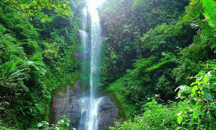 Air Terjun Banyu Anjlok via Twitter @ki_embuhsapa, 1. Pantai Bandengan (Pantai Tirto Samudro), 2. Wisata Karimun Jawa , 3. Pantai Kartini, 4. Benteng Portugis , 5. Museum R.A. Kartini , 6. Jepara Ocean Park, 7. Air Terjun Songgolangit, 8. Pantai Teluk Awur , 9. Pantai Blebak Jepara, 10. Pantai Gua Manik, 11. Pantai Ombak Mati, 12. Pantai Pungkruk, 13. Tiara Park Waterbom, 14. Pantai Empu Rancak, 15. Taman Kerang, 16. Bukit Bejagan, 17. Air Terjun Banyu Anjlok, 18. Air Terjun Setatah, 19. Air Terjun Dong Paso, 20. Akar Seribu Plajan, 21. Puncak Distoroto, 22. Hutan Wisata Sreni Indah, 23. Bukit Ragas, 24. Puncak Jehan, 25. Pantai Punuk Sapi, 26. Air Terjun Gembong, 27. Hutan Pinus Setro Batealit, 28. Pantai Tegalsambi, 29. Air Terjun Sumenep, 30. Pulau Panjang, 31. PANTAI PRAWEHAN, 32. Pantai Kampung Prau, 33. Rainbow Adventure Park Jepara, 34. Pertapaan Ratu Kalinyamat , 35. Air Terjun Jurang Nganten, 36. Pulau Mandalika Jepara, 37. Wisata Danau Blingoh, 38. Wisata Religi Masjid Mantingan , 39. Air Terjun Grinjingan Dowo, 40. Goa Tritip, 41. Wisata Sejarah ke Candi Bubrah, 42. Kampung Batik Kembangmulyo