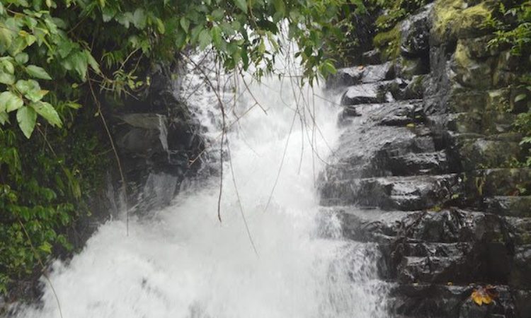 Air Terjun Gembong, 1. Pantai Bandengan (Pantai Tirto Samudro), 2. Wisata Karimun Jawa , 3. Pantai Kartini, 4. Benteng Portugis , 5. Museum R.A. Kartini , 6. Jepara Ocean Park, 7. Air Terjun Songgolangit, 8. Pantai Teluk Awur , 9. Pantai Blebak Jepara, 10. Pantai Gua Manik, 11. Pantai Ombak Mati, 12. Pantai Pungkruk, 13. Tiara Park Waterbom, 14. Pantai Empu Rancak, 15. Taman Kerang, 16. Bukit Bejagan, 17. Air Terjun Banyu Anjlok, 18. Air Terjun Setatah, 19. Air Terjun Dong Paso, 20. Akar Seribu Plajan, 21. Puncak Distoroto, 22. Hutan Wisata Sreni Indah, 23. Bukit Ragas, 24. Puncak Jehan, 25. Pantai Punuk Sapi, 26. Air Terjun Gembong, 27. Hutan Pinus Setro Batealit, 28. Pantai Tegalsambi, 29. Air Terjun Sumenep, 30. Pulau Panjang, 31. PANTAI PRAWEHAN, 32. Pantai Kampung Prau, 33. Rainbow Adventure Park Jepara, 34. Pertapaan Ratu Kalinyamat , 35. Air Terjun Jurang Nganten, 36. Pulau Mandalika Jepara, 37. Wisata Danau Blingoh, 38. Wisata Religi Masjid Mantingan , 39. Air Terjun Grinjingan Dowo, 40. Goa Tritip, 41. Wisata Sejarah ke Candi Bubrah, 42. Kampung Batik Kembangmulyo