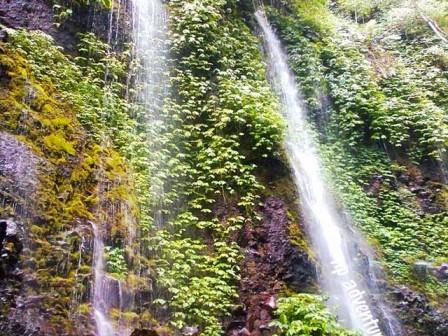 Air Terjun Lawean - tempat wisata di Blitar, 1. Kampung Coklat, 2. Taman Kebon Rojo, 3. Pantai Tambakrejo, 4. Pantai Pangi, 5. Perkebunan Teh Sirah Kencong, 6. Pantai Serang, 7. Blitar Park, 8. Petilasan Rambut Monte, 9. Candi Penataran, 10. Pantai Peh Pulo, 11. Goa Embultuk, 12. Candi Gambar Wetan, 13. Situs Arca Warak, 14. Candi Kotes, 15. Candi Sawentar, 16. Makam Bung Karno, 17. Istana Gebang, 18. Water Park Sumberudel, 19. Desa Wisata Semen, 20. Wisata Sejarah Monumen Trisula, 21. Penangkaran Rusa Maliran, 22. Agrowisata Karangsari Blitar, 23. Gunung Butak, 24. Pantai Gondo Mayit, 25. Air Terjun Coban Wilis, 26. Air Terjun Sirah Kencong, 27. Air Terjun Grenjeng, 28. Air Terjun Jurug Bening , 29. Objek Wisata Alam Pacuh, 30. Pantai Umbul Waru, 31. Curug dan Kedung Badrun, 32. Air Terjun Lawean, 33. Pantai Jolosutro, 34. Arung Jeram Soko Adventure Blitar, 35. Goa Maria Sendang Rejo, 36. Gardu Pandang Perkebunan Gambar, 37. Omah Djadoel, 38. Gunung Kelud, 39. Air Terjun Kedung Entong, 40.  Air Terjun Tirto Galuh, 41. Taman Jurug Goa Luweng Prodo, 42. Bukit Teletubies Blitar, 43. Hutan Pinus Gogoniti, 44. Kampung Afrika Blitar, 45. Gunung Butak, 46. Pantai Pasur, 47. Pantai Serit, 48. Monumen PETA, 49. Wisata Alam Paco, 50. Bendungan Serut, 51. Arca Gamprang, 52. Candi Simping, 53. Jurug Moncar, 54. Candi Mleri, 55. Candi Kalicilik, 56. Alun-alun Blitar, 57. Blitar Green Park, 58. Taman Pecut, 59. Fish Garden Blitar, 60. Kaloka Lodoyo, 61. Pemandian Sumur Amber Kandangan, 62. Bendungan Wlingi Raya, 63. Taman Idaman Hati Wlingi Blitar, 64. Villa Puncak Pesanggrahan Tambakrejo