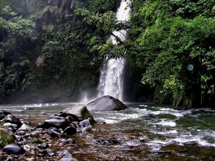Air Terjun Lematang Indah, 1. Obyek Wisata Jembatan Ampera dan Sungai Musi di Palembang, 2. Tempat Wisata Religi Masjid Cheng Hoo Palembang, 3. Obyek Wisata Bukit Siguntang di Palembang, 4. Tempat Wisata Sejarah Museum Sultan Mahmud Badaruddin II Palembang, 5. Tempat Wisata Sejarah Benteng Kuto Besak di Palembang, 6. Wisata Religi Masjid Agung Sultan Mahmud Badaruddin I Palembang, 7. Objek Wisata Gedung Kantor Walikota Palembang, 8. Tempat Wisata Keluarga Kembang Iwak Family Park di Palembang, 9. Tempat Wisata Alam Hutan Punti Kayu di Palembang, 10. Tempat Wisata Sejarah Taman Purbakala Kerajaan Sriwijaya di Palembang, 11. Tempat Wisata Kuliner Kampung Kapitan di Palembang, 12. Objek Wisata Monumen perjuangan rakyat Palembang, 13. Obyek Wisata Pulau Kemaro di Palembang, 14. Tempat Wisata Alam Air Terjun Lematang Indah , 15. Obyek Wisata Gunung Dempo, 16. Tempat Wisata Alam Air Terjun Bidadari di Lahat, 17. Obyek Wisata Alam Air Terjun Maung (Curup Maung), 18. Tempat Wisata Kuliner Terkenal Martabak HAR di Palembang, 19. Tempat Wisata Kuliner Pempek Candy di Palembang, 20. Tempat Wisata Kuliner Pempek SAGA di Palembang, 21. Arung Jeram Sungai Manna, 22. Waterboom OPI Jakabaring, 23. The Amanzi Waterpark CitraGrand City, 24. Fantasy Island Palembang, 25. Danau Ranau, 26. Kolam Renang Lumban Tirta, 27. Museum Negeri Balaputra Dewa, 28. Kampung Arab Palembang, 29. Rumah Rakit Sungai Musi, 30. Palembang Bird Park, 31. Pelabuhan Tanjung Api-Api, 32. Masjid Lawang Kidul, 33. Tangga 2001, 34. Tugu Belido, 35. Kopi Roda, 36. Bayt Al-Quran Raksasa, 37. Sungai Gerong, 38. Goa Putri, 39. Sekanak Sidewalk, 40. Danau OPI, 41. Museum Tekstil Palembang, 42. Waterpark Danau Tanah Mas, 43. Taman Pelangi, 44. Bukit Golf, 45. Klenteng Chandra Nadi, 46. G Art Studio, 47. Pulau Maspari, 48. Gelora Sriwijaya, 49. Warung Apung Sungai Musi, 50. Air Terjun Kematang Indah, 51. Kebun Teh Dempo