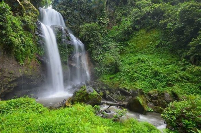 Air Terjun Lereng Raung, 1. Tempat Wisata Pantai Pasir Putih Malikan (Papuma) Jember, 2. Tempat Wisata Pantai Watu Ulo Jember, 3. Tempat Wisata Keluarga Pantai Bandealit di Jember, 4. Tempat Wisata Pantai Puger di Jember, 5. Obyek Wisata Keluarga Tiara Waterpark di Jember, 6. Objek Wisata Keluarga Pemandian Kebon Agung di Jember, 7. Tempat Wisata Edukasi Taman Botani Jember, 8. Wahana Liburan Seru Waterboom Niagara di Jember, 9. Destinasi Wisata Populer Kawasan Puncak Rembangan di Jember, 10. Tempat Wisata Alam Air Terjun Tancak di Jember, 11. Tujuan Wisata Keluarga Pemandian Patemon di Jember, 12. Tempat Wisata Sejarah Situs Duplang di Jember, 13. Obyek Wisata Pantai Paseban di Jember, 14. Obyek Wisata Pemandian Rembangan di Jember, 15. Obyek Wisata Menarik Loko Lori di Jember, 16. Tempat Wisata Alam Air Terjun Antrokan di Jember, 17. Kafe Kolong di Jember, 18. Obyek Wisata Bedadung di Jember (Sudah Tutup), 19. Wisata ke Perkebunan Teh Gunung Gambir di Jember, 20. Obyek Wisata Pemandian Oleng Sibutong di jember, 21. Kimo Swimming Pool, 22. Air Terjun Manggisan, 23. Air Terjun Sumber Salak, 24. Pantai Payangan, 25. Pantai Rowo Cangak, 26. Pantai Teluk Love, 27. Agrowisata Tembakau, 28. Wisata Agro Glantangan, 29. Dira Park, 30. Agrowisata Mumbul Garden Jember, 31. Taman Nasional Meru Betiri, 32. Museum Tembakau Jember, 33. Pabrik Kopi Gumitir Jember, 34. Pulau Nusa Barong Jember, 35. Agrowisata Kopi dan Kakao, 36. Air Terjun Watu Ombo, 37. Air Terjun Lereng Raung, 38. Air Terjun Sumber Salak, 39. Taman Galaxy, 40. Bukit SJ 88, 41. Air Terjun Mandigu, 42. Goa Jepang