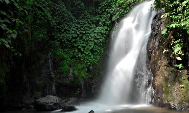 Air Terjun Suban, 1. Pantai Panjang, 2. Tempat Wisata Sejarah Rumah Pengasingan Bung Karno, 3. Tempat Wisata Sejarah Benteng Marlborough Bengkulu, 4. Tempat Wisata Pantai Tapak Paderi Bengkulu, 5. Berwisata ke Kota Curup Bengkulu, 6. Tempat Wisata Danau Dendam Tak Sudah Bengkulu, 7. Tempat Wisata Danau Mas Harun Bastari Bengkulu, 8. Tempat Wisata Sejarah Museum Negeri Bengkulu, 9. Tempat Wisata Alam Bukit Kaba Bengkulu, 10. Berwisata ke Pulau Tikus Bengkulu, 11. Wisata Alam Sungai Air Berau Bengkulu, 12. Wisata ke Habitat Bunga Rafflesia Arnoldii Bengkulu, 13. Tempat Wisata Pantai Teluk Sepang Bengkulu, 14. Berwisata ke Air Terjun Curup, 15. Tempat Wisata Danau Lebong di Bengkulu Tengah, 16. Tempat Wisata Air Terjun Kepala Curup Bengkulu, 17. Tempat Wisata Air Terjun Sindang Kelingi Bengkulu, 18. Tempat Wisata Kebun Teh Bukit Daun Bengkulu, 19. Tempat Wisata Pantai Lais Bengkulu, 20. Tempat Wisata Air Terjun Curug Sembilan Bengkulu, 21. Objek Wisata Danau Gedang Bengkulu, 22. Tempat Wisata pantai Jakat Bengkulu, 23. Objek Wisata Tugu Thomas Parr Bengkulu, 24. Tempat Wisata Taman Hutan Raya Bengkulu, 25. Wisata ke Pusat Makanan Khas Bengkulu, 26. Berwisata ke Kampung Tua Cina Bengkulu, 27. Tempat Wisata Sungai Air Berau Muko-Muko Bengkulu, 28. Pantai Batung Badoro Muko-Muko Bengkulu, 29. Pantai Air Rami Mukomuko Bengkulu, 30. Danau Nibung Mukomuko Bengkulu, 31. Tempat Wisata Pantai Seluma Bengkulu, 32. Air Terjun Tri Muara Karang, 33. Pantai Sungai Suci, 34. Suban Air Panas Curup, 35. Danau Biru, 36. Pantai Padang Betuah, 37. Curug Mingga, 38. Air Terjun Suban, 39. Pantai Manula, 40. Pantai Linau, 41. Goa Kacamata, 42. Lubuk Sepit Kancing, 43. Pulau Enggano, 44. Arung Jeram Sungai Ketahun, 45. Pantai Bengkenang, 46. Air Terjun Singkai