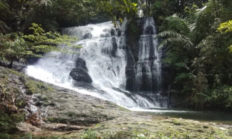 Air Terjun Singkai via Google Maps @Andres Tommy Susanto, 1. Pantai Panjang, 2. Tempat Wisata Sejarah Rumah Pengasingan Bung Karno, 3. Tempat Wisata Sejarah Benteng Marlborough Bengkulu, 4. Tempat Wisata Pantai Tapak Paderi Bengkulu, 5. Berwisata ke Kota Curup Bengkulu, 6. Tempat Wisata Danau Dendam Tak Sudah Bengkulu, 7. Tempat Wisata Danau Mas Harun Bastari Bengkulu, 8. Tempat Wisata Sejarah Museum Negeri Bengkulu, 9. Tempat Wisata Alam Bukit Kaba Bengkulu, 10. Berwisata ke Pulau Tikus Bengkulu, 11. Wisata Alam Sungai Air Berau Bengkulu, 12. Wisata ke Habitat Bunga Rafflesia Arnoldii Bengkulu, 13. Tempat Wisata Pantai Teluk Sepang Bengkulu, 14. Berwisata ke Air Terjun Curup, 15. Tempat Wisata Danau Lebong di Bengkulu Tengah, 16. Tempat Wisata Air Terjun Kepala Curup Bengkulu, 17. Tempat Wisata Air Terjun Sindang Kelingi Bengkulu, 18. Tempat Wisata Kebun Teh Bukit Daun Bengkulu, 19. Tempat Wisata Pantai Lais Bengkulu, 20. Tempat Wisata Air Terjun Curug Sembilan Bengkulu, 21. Objek Wisata Danau Gedang Bengkulu, 22. Tempat Wisata pantai Jakat Bengkulu, 23. Objek Wisata Tugu Thomas Parr Bengkulu, 24. Tempat Wisata Taman Hutan Raya Bengkulu, 25. Wisata ke Pusat Makanan Khas Bengkulu, 26. Berwisata ke Kampung Tua Cina Bengkulu, 27. Tempat Wisata Sungai Air Berau Muko-Muko Bengkulu, 28. Pantai Batung Badoro Muko-Muko Bengkulu, 29. Pantai Air Rami Mukomuko Bengkulu, 30. Danau Nibung Mukomuko Bengkulu, 31. Tempat Wisata Pantai Seluma Bengkulu, 32. Air Terjun Tri Muara Karang, 33. Pantai Sungai Suci, 34. Suban Air Panas Curup, 35. Danau Biru, 36. Pantai Padang Betuah, 37. Curug Mingga, 38. Air Terjun Suban, 39. Pantai Manula, 40. Pantai Linau, 41. Goa Kacamata, 42. Lubuk Sepit Kancing, 43. Pulau Enggano, 44. Arung Jeram Sungai Ketahun, 45. Pantai Bengkenang, 46. Air Terjun Singkai