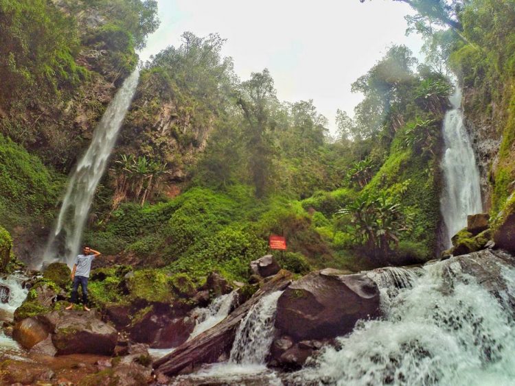 Air Terjun Watu Ombo, 1. Tempat Wisata Pantai Pasir Putih Malikan (Papuma) Jember, 2. Tempat Wisata Pantai Watu Ulo Jember, 3. Tempat Wisata Keluarga Pantai Bandealit di Jember, 4. Tempat Wisata Pantai Puger di Jember, 5. Obyek Wisata Keluarga Tiara Waterpark di Jember, 6. Objek Wisata Keluarga Pemandian Kebon Agung di Jember, 7. Tempat Wisata Edukasi Taman Botani Jember, 8. Wahana Liburan Seru Waterboom Niagara di Jember, 9. Destinasi Wisata Populer Kawasan Puncak Rembangan di Jember, 10. Tempat Wisata Alam Air Terjun Tancak di Jember, 11. Tujuan Wisata Keluarga Pemandian Patemon di Jember, 12. Tempat Wisata Sejarah Situs Duplang di Jember, 13. Obyek Wisata Pantai Paseban di Jember, 14. Obyek Wisata Pemandian Rembangan di Jember, 15. Obyek Wisata Menarik Loko Lori di Jember, 16. Tempat Wisata Alam Air Terjun Antrokan di Jember, 17. Kafe Kolong di Jember, 18. Obyek Wisata Bedadung di Jember (Sudah Tutup), 19. Wisata ke Perkebunan Teh Gunung Gambir di Jember, 20. Obyek Wisata Pemandian Oleng Sibutong di jember, 21. Kimo Swimming Pool, 22. Air Terjun Manggisan, 23. Air Terjun Sumber Salak, 24. Pantai Payangan, 25. Pantai Rowo Cangak, 26. Pantai Teluk Love, 27. Agrowisata Tembakau, 28. Wisata Agro Glantangan, 29. Dira Park, 30. Agrowisata Mumbul Garden Jember, 31. Taman Nasional Meru Betiri, 32. Museum Tembakau Jember, 33. Pabrik Kopi Gumitir Jember, 34. Pulau Nusa Barong Jember, 35. Agrowisata Kopi dan Kakao, 36. Air Terjun Watu Ombo, 37. Air Terjun Lereng Raung, 38. Air Terjun Sumber Salak, 39. Taman Galaxy, 40. Bukit SJ 88, 41. Air Terjun Mandigu, 42. Goa Jepang