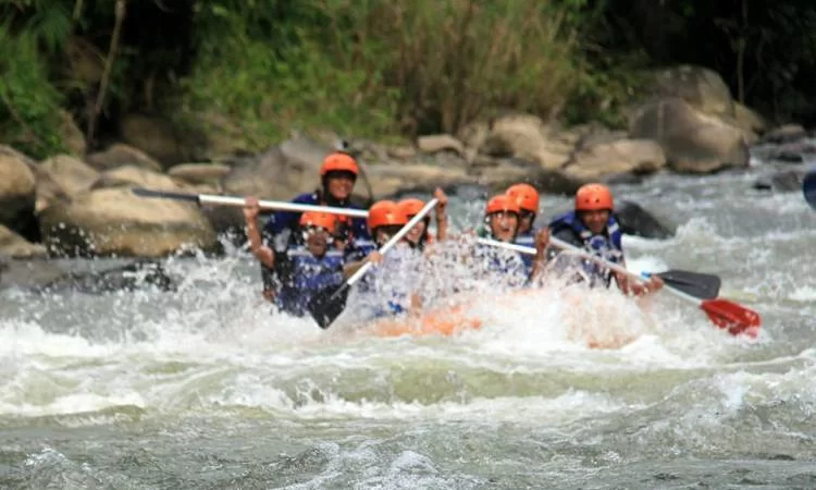 Arung Jeram Sungai Ketahun via Arusketahun, 1. Pantai Panjang, 2. Tempat Wisata Sejarah Rumah Pengasingan Bung Karno, 3. Tempat Wisata Sejarah Benteng Marlborough Bengkulu, 4. Tempat Wisata Pantai Tapak Paderi Bengkulu, 5. Berwisata ke Kota Curup Bengkulu, 6. Tempat Wisata Danau Dendam Tak Sudah Bengkulu, 7. Tempat Wisata Danau Mas Harun Bastari Bengkulu, 8. Tempat Wisata Sejarah Museum Negeri Bengkulu, 9. Tempat Wisata Alam Bukit Kaba Bengkulu, 10. Berwisata ke Pulau Tikus Bengkulu, 11. Wisata Alam Sungai Air Berau Bengkulu, 12. Wisata ke Habitat Bunga Rafflesia Arnoldii Bengkulu, 13. Tempat Wisata Pantai Teluk Sepang Bengkulu, 14. Berwisata ke Air Terjun Curup, 15. Tempat Wisata Danau Lebong di Bengkulu Tengah, 16. Tempat Wisata Air Terjun Kepala Curup Bengkulu, 17. Tempat Wisata Air Terjun Sindang Kelingi Bengkulu, 18. Tempat Wisata Kebun Teh Bukit Daun Bengkulu, 19. Tempat Wisata Pantai Lais Bengkulu, 20. Tempat Wisata Air Terjun Curug Sembilan Bengkulu, 21. Objek Wisata Danau Gedang Bengkulu, 22. Tempat Wisata pantai Jakat Bengkulu, 23. Objek Wisata Tugu Thomas Parr Bengkulu, 24. Tempat Wisata Taman Hutan Raya Bengkulu, 25. Wisata ke Pusat Makanan Khas Bengkulu, 26. Berwisata ke Kampung Tua Cina Bengkulu, 27. Tempat Wisata Sungai Air Berau Muko-Muko Bengkulu, 28. Pantai Batung Badoro Muko-Muko Bengkulu, 29. Pantai Air Rami Mukomuko Bengkulu, 30. Danau Nibung Mukomuko Bengkulu, 31. Tempat Wisata Pantai Seluma Bengkulu, 32. Air Terjun Tri Muara Karang, 33. Pantai Sungai Suci, 34. Suban Air Panas Curup, 35. Danau Biru, 36. Pantai Padang Betuah, 37. Curug Mingga, 38. Air Terjun Suban, 39. Pantai Manula, 40. Pantai Linau, 41. Goa Kacamata, 42. Lubuk Sepit Kancing, 43. Pulau Enggano, 44. Arung Jeram Sungai Ketahun, 45. Pantai Bengkenang, 46. Air Terjun Singkai
