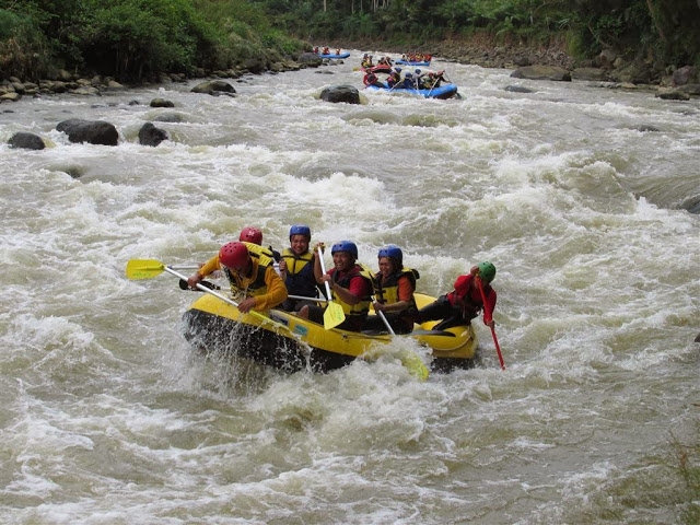 Arung Jeram di Dieng, 1. Obyek Wisata Alam Bukit Sikunir Dieng, 2. Tempat Wisata Telaga Pengilon Dieng, 3. Objek Wisata Telaga Merdada Dieng, 4. Pendakian Gunung Prau Dieng, 5. Obyek Wisata Candi Arjuna Dieng, 6. Liburan ke Dieng Plateau Theater, 7. Tempat Wisata Gardu Pandang Tieng, 8. Tempat Wisata Alam Batu Ratapan Angin di Dieng, 9. Objek Wisata Sumur Jalatunda di Dieng, 10. Obyek Wisata Kawah Sikidang di Dieng, 11. Tempat Wisata Alam Telaga Warna di Dieng, 12. Tempat Wisata Telaga Cebong di Dieng, 13. Obyek Wisata Candi Bima di Dieng, 14. Obyek Wisata Kawah Candradimuka Dieng, 15. Obyek Wisata Kawah Sileri Dieng, 16. Tempat Wisata Museum Kailasa di Dieng, 17. Tempat Wisata Kuliner di Dieng, 18. Obyek Wisata Gua Semar Dieng, 19. Tempat Bermain di Mata air Sungai Serayu Dieng, 20. Arung Jeram di Dieng, 21. Telaga Menjer, 22. Savana Pangonan, 23. Telaga Dringo, 24. Petak 9 Dieng