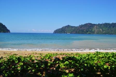 Berwisata Menikmati Keperawanan Pantai Sipelot Malang, 1. Wisata Pantai Batu Bengkung Malang, 2. Wisata Batu Night Spectacular (BNS) Malang, 3. Wisata Jatim Park 1, 4. Wahana Wisata Jatim Park 2 Malang, 5. Alun-alun kota Malang, 6. Wisata Petik Apel Malang, 7. Masjid Tiban Malang, 8. Wisata Alam Air Terjun Coban Rondo Malang, 9. Wahana Wisata Eco Green Park Malang, 10. Wisata Museum Angkut Malang, 11. Wisata Pulau Sempu Malang, 12. Wisata Pantai Balekambang Malang, 13. Objek Wisata Bendungan Karangkates Malang, 14. Wahana Wisata Wendit Water Park Malang, 15. Tempat wisata Alam Selecta Malang, 16. Objek Wisata Agrowisata Wonosari Malang, 17. Wahana Wisata Taman Rekreasi Sengkaling Malang, 18. Wisata Kuliner dan Edukasi di Inggil Museum Resto Malang, 19. Wisata Alam Menikmati Kecantikan Alam Ala Omah kayu Malang, 20. Objek Wisata Uji Adrenalin Wisata Paralayang Malang, 21. Wisata Alam 7 Air Terjun Sumber Pitu Malang, 22. Berwisata Menikmati Keperawanan Pantai Sipelot Malang, 23. Tempat Wisata Edukasi Museum Kesehatan Jiwa Malang, 24. Wisata Alam Sumber Air Krabyakan Malang, 25. Wisata Pantai Ngliyep nan Indah di Malang, 26. Wisata Sejarah di Museum D’Topeng Malang, 27. Objek Wisata Panen Madu di Agro Tawon Rimba Raya Malang, 28. Wisata Sejarah Gerbong Maut di Museum Brawijaya Malang, 29. Wisata Edukasi Museum Malang Tempo Doeloe, 30. Objek Wisata Pemandian Air Panas Cangar Batu Malang, 31. Objek Wisata Secret zoo Kebun Binatang Batu Malang, 32. Tempat Wisata Kuliner Es Krim Legendaris di Toko Oen Malang, 33. Mata Air Sumber Sirah, 34. Coban Nirwana atau Coban Mbok Karimah, 35. Pemandian Kalireco Lawang, 36. Teluk Bidadari, 37. Banyu Anjlok, 38. Wisata Tubing Wringinanom, 39. Coban Tundo, 40. Pantai Kedung Celeng, 41. Air Terjun Coban Pelangi, 42. Gua Lo Bangi, 43. Ndayung Rafting, 44. Waduk Selorejo Malang, 45. Pantai Tiga Warna Malang, 46. Teluk Kletekan Malang, 47. Pantai Lenggoksono Malang, 48. Pantai Bajul Mati Malang, 49. Jawa Timur Park 3, 50. Kampung Warna Warni Jodipan, 51. Candi Badut, 51. Sumber Jenon, 52. Wisata Pujon Kidul, 53. Pantai Sendang Biru, 54. Hawai Waterpark, 55. Pura Luhur Giri Arjuno, 56. Museum Tubuh, 57. Kusuma Waterpark, 58. Candi Songgoriti, 59. Taman Singha Merjosari, 60. Taman Kelinci, 61. Candi Singosari, 62. Pura Luhur Giri Arjuno, 63. Masjid Agung Malang, 64. Masjid Annur Batu, 65. Coban Rais, 66. River Tubing di Sungai Amprong, 67. Sumber Maron, 68. Coban Jahe, 69. Coban Talun, 70. Coban Parang Tejo, 71. Coban Gintung, 72. Coban Sewu, 73. Coban Putri, 74. Rafting Kaliwatu, 75. Sumber Taman, 76. Bukit Bulu, 77. De Tjangkul Batu, 78. Taman Labirin Coban Rondo, 79. Bukit Binglis, 80. Bukit Cinta, 81. Bukit Bintang, 82. Bukit Teletubbies, 83. Bukit Asmoro, 84. Bukit Budug Asu, 85. Pantai Banyu Meneng, 86. Pantai Selok, 87. Pantai Sendiki, 88. Pantai Goa Cina, 89. Pantai Sendang Biru, 90. Pantai Watu Leter, 91. Pantai Wedi Awu, 92. Pantai Jonggring Saloko, 93. Pantai Wedi Putih, 94. Pantai Bangsong, 95. Pantai Teluk Asmoro, 96. Pantai Telok, 97. Pantai Parang Dowo, 98. Pantai Jolangkung, 99. Pantai Tomen
