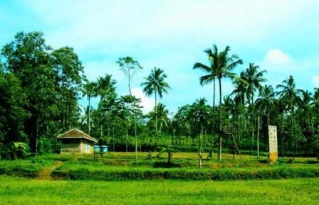 Kampung Wisata Alam dan Ekologis “Puspa Jagad”, 1. Kampung Coklat, 2. Taman Kebon Rojo, 3. Pantai Tambakrejo, 4. Pantai Pangi, 5. Perkebunan Teh Sirah Kencong, 6. Pantai Serang, 7. Blitar Park, 8. Petilasan Rambut Monte, 9. Candi Penataran, 10. Pantai Peh Pulo, 11. Goa Embultuk, 12. Candi Gambar Wetan, 13. Situs Arca Warak, 14. Candi Kotes, 15. Candi Sawentar, 16. Makam Bung Karno, 17. Istana Gebang, 18. Water Park Sumberudel, 19. Desa Wisata Semen, 20. Wisata Sejarah Monumen Trisula, 21. Penangkaran Rusa Maliran, 22. Agrowisata Karangsari Blitar, 23. Gunung Butak, 24. Pantai Gondo Mayit, 25. Air Terjun Coban Wilis, 26. Air Terjun Sirah Kencong, 27. Air Terjun Grenjeng, 28. Air Terjun Jurug Bening , 29. Objek Wisata Alam Pacuh, 30. Pantai Umbul Waru, 31. Curug dan Kedung Badrun, 32. Air Terjun Lawean, 33. Pantai Jolosutro, 34. Arung Jeram Soko Adventure Blitar, 35. Goa Maria Sendang Rejo, 36. Gardu Pandang Perkebunan Gambar, 37. Omah Djadoel, 38. Gunung Kelud, 39. Air Terjun Kedung Entong, 40.  Air Terjun Tirto Galuh, 41. Taman Jurug Goa Luweng Prodo, 42. Bukit Teletubies Blitar, 43. Hutan Pinus Gogoniti, 44. Kampung Afrika Blitar, 45. Gunung Butak, 46. Pantai Pasur, 47. Pantai Serit, 48. Monumen PETA, 49. Wisata Alam Paco, 50. Bendungan Serut, 51. Arca Gamprang, 52. Candi Simping, 53. Jurug Moncar, 54. Candi Mleri, 55. Candi Kalicilik, 56. Alun-alun Blitar, 57. Blitar Green Park, 58. Taman Pecut, 59. Fish Garden Blitar, 60. Kaloka Lodoyo, 61. Pemandian Sumur Amber Kandangan, 62. Bendungan Wlingi Raya, 63. Taman Idaman Hati Wlingi Blitar, 64. Villa Puncak Pesanggrahan Tambakrejo