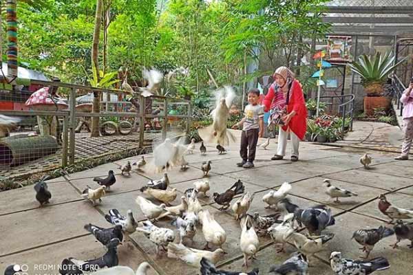 Bird Pavilion, 1. Gunung Tangkuban Perahu, 2. Trans Studio Bandung, 3. Wisata Kawah Putih Ciwidey, 4. Curug Dago di Bandung, 5. Wisata Belanja Pasar Baru di Bandung, 6. Wisata Edukasi Observatorium Bosscha di Bandung, 7. Wisata Alam Danau Situ Patenggang di Bandung, 8. Wisata Air Panas Ciater, 9. Wisata Kampung Gajah di Bandung (Tutup Permanen), 10. Tempat Wisata Kebun Binatang di Bandung, 11. Wisata Rumah Mode Bandung, 12. Wisata Seni Saung Angklung Udjo Di Bandung, 13. Wisata Edukasi Museum Geologi Bandung, 14. Paskal Food Market, 15. Rumah Strawberry Ciwidey, 16. Cihampelas Walk, 17. Museum Konferensi Asia Afrika, 18. Museum Sri Baduga Bandung, 19. Taman Lalu Lintas Ade Irma Suryani, 20. Kolam Renang Karang Setra, 21. Taman Wisata Alam Maribaya, 22. Kawasan Punclut Bandung Utara, 23. Kebun Bunga Cihideung, 24. Tempat Wisata De’Ranch, 25. Wisata Kuliner Floating Market, 26. Perkebunan Teh Rancabali, 27. Wisata Air Panas Ciwalini, 28. Wisata Bumi Perkemahan Ranca Upas, 29. Little Seoul Bandung, 30. Dusun Bambu Lembang, 31. Taman Hutan Raya Ir Djuanda, 32. Curug Upas, 33. Ciwidey Valley Resort, 34. Sendang Kahuripan, 35. Situ Cileunca, 36. Taman Balai Kota, 37. Gunung Puntang, 38. Stone Garden, 39. Chinatown Bandung, 40. Bird Pavilion, 41. Curug Malela, 42. Tebing Keraton, 43. Puncak Bintang, 44. Amazing Art World, 45. Street Gourmet, 46. Curug Cimahi, 47. Tafso Barn, 48. Sanghyang Heuleut, 49. The Great Asia Afrika, 50. Tebing Citatah, 51. Jalan Braga, 52. D’Dieuland, 53. Jembatan Kereta Api Cikudapateuh Ciwidey, 54. Upside Down World Bandung, 55. Orchid Forest Cikole, 56. Kebun Teh Sukawana, 57. Kampoeng Tulip, 58. Kampung Pasir Ipis, 59. Kebun Bunga Begonia, 60. Wisata Grafika Cikole, 61. Pine Forest Camp Lembang, 62. The Lodge Maribaya, 63. Farm House Susu Lembang, 64. Glamping Lakeside, 65. Curug Keraton Cibodas, 66. Curug Layung Lembang, 67. Curug Tilu Leuwi Opat, 68. Jendela Alam, 69. Ciwangun Indah Camp (CIC) Lembang, 70. Taman Miniatur Kereta Api, 71. Lereng Anteng Panoramic Coffee, 72. Gunung Putri Lembang, 73. Kawasan Berkuda Ganesha H Equestrian, 74. Bukit Labyrinth Ganesha H Equestrian, 75. Bukit Pangjebolan Lembang, 76. Argowisata Kawah Rengganis, 77. Pemandian Air Panas Ciwalini, 78. Curug Cipanji Bandung, 79. Wisata Air Curug Tilu, 80. Bukit Jamur Rancabolang Ciwidey, 81. Barusen Hills, 82. Kampung Cai Rancaupas, 83. Bumi Perkemahan Ranca Cangkuang, 84. Cimanggu Hot Spring & Cottage, 85. Taman Kelinci Ciwidey, 86. Danau eMTe Highland Resort, 87. Green Hill Park TWA Cimanggu