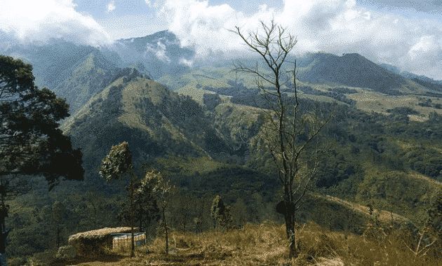 Bukit Binglis via Dikmedia, 1. Wisata Pantai Batu Bengkung Malang, 2. Wisata Batu Night Spectacular (BNS) Malang, 3. Wisata Jatim Park 1, 4. Wahana Wisata Jatim Park 2 Malang, 5. Alun-alun kota Malang, 6. Wisata Petik Apel Malang, 7. Masjid Tiban Malang, 8. Wisata Alam Air Terjun Coban Rondo Malang, 9. Wahana Wisata Eco Green Park Malang, 10. Wisata Museum Angkut Malang, 11. Wisata Pulau Sempu Malang, 12. Wisata Pantai Balekambang Malang, 13. Objek Wisata Bendungan Karangkates Malang, 14. Wahana Wisata Wendit Water Park Malang, 15. Tempat wisata Alam Selecta Malang, 16. Objek Wisata Agrowisata Wonosari Malang, 17. Wahana Wisata Taman Rekreasi Sengkaling Malang, 18. Wisata Kuliner dan Edukasi di Inggil Museum Resto Malang, 19. Wisata Alam Menikmati Kecantikan Alam Ala Omah kayu Malang, 20. Objek Wisata Uji Adrenalin Wisata Paralayang Malang, 21. Wisata Alam 7 Air Terjun Sumber Pitu Malang, 22. Berwisata Menikmati Keperawanan Pantai Sipelot Malang, 23. Tempat Wisata Edukasi Museum Kesehatan Jiwa Malang, 24. Wisata Alam Sumber Air Krabyakan Malang, 25. Wisata Pantai Ngliyep nan Indah di Malang, 26. Wisata Sejarah di Museum D’Topeng Malang, 27. Objek Wisata Panen Madu di Agro Tawon Rimba Raya Malang, 28. Wisata Sejarah Gerbong Maut di Museum Brawijaya Malang, 29. Wisata Edukasi Museum Malang Tempo Doeloe, 30. Objek Wisata Pemandian Air Panas Cangar Batu Malang, 31. Objek Wisata Secret zoo Kebun Binatang Batu Malang, 32. Tempat Wisata Kuliner Es Krim Legendaris di Toko Oen Malang, 33. Mata Air Sumber Sirah, 34. Coban Nirwana atau Coban Mbok Karimah, 35. Pemandian Kalireco Lawang, 36. Teluk Bidadari, 37. Banyu Anjlok, 38. Wisata Tubing Wringinanom, 39. Coban Tundo, 40. Pantai Kedung Celeng, 41. Air Terjun Coban Pelangi, 42. Gua Lo Bangi, 43. Ndayung Rafting, 44. Waduk Selorejo Malang, 45. Pantai Tiga Warna Malang, 46. Teluk Kletekan Malang, 47. Pantai Lenggoksono Malang, 48. Pantai Bajul Mati Malang, 49. Jawa Timur Park 3, 50. Kampung Warna Warni Jodipan, 51. Candi Badut, 51. Sumber Jenon, 52. Wisata Pujon Kidul, 53. Pantai Sendang Biru, 54. Hawai Waterpark, 55. Pura Luhur Giri Arjuno, 56. Museum Tubuh, 57. Kusuma Waterpark, 58. Candi Songgoriti, 59. Taman Singha Merjosari, 60. Taman Kelinci, 61. Candi Singosari, 62. Pura Luhur Giri Arjuno, 63. Masjid Agung Malang, 64. Masjid Annur Batu, 65. Coban Rais, 66. River Tubing di Sungai Amprong, 67. Sumber Maron, 68. Coban Jahe, 69. Coban Talun, 70. Coban Parang Tejo, 71. Coban Gintung, 72. Coban Sewu, 73. Coban Putri, 74. Rafting Kaliwatu, 75. Sumber Taman, 76. Bukit Bulu, 77. De Tjangkul Batu, 78. Taman Labirin Coban Rondo, 79. Bukit Binglis, 80. Bukit Cinta, 81. Bukit Bintang, 82. Bukit Teletubbies, 83. Bukit Asmoro, 84. Bukit Budug Asu, 85. Pantai Banyu Meneng, 86. Pantai Selok, 87. Pantai Sendiki, 88. Pantai Goa Cina, 89. Pantai Sendang Biru, 90. Pantai Watu Leter, 91. Pantai Wedi Awu, 92. Pantai Jonggring Saloko, 93. Pantai Wedi Putih, 94. Pantai Bangsong, 95. Pantai Teluk Asmoro, 96. Pantai Telok, 97. Pantai Parang Dowo, 98. Pantai Jolangkung, 99. Pantai Tomen
