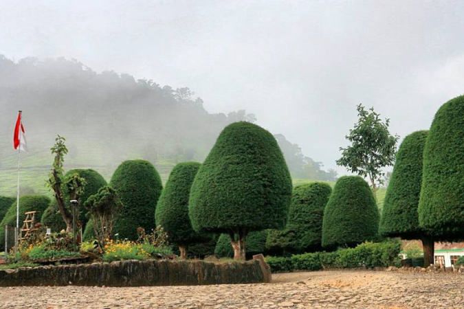 Bukit Jamur Rancabolang Ciwidey, 1. Gunung Tangkuban Perahu, 2. Trans Studio Bandung, 3. Wisata Kawah Putih Ciwidey, 4. Curug Dago di Bandung, 5. Wisata Belanja Pasar Baru di Bandung, 6. Wisata Edukasi Observatorium Bosscha di Bandung, 7. Wisata Alam Danau Situ Patenggang di Bandung, 8. Wisata Air Panas Ciater, 9. Wisata Kampung Gajah di Bandung (Tutup Permanen), 10. Tempat Wisata Kebun Binatang di Bandung, 11. Wisata Rumah Mode Bandung, 12. Wisata Seni Saung Angklung Udjo Di Bandung, 13. Wisata Edukasi Museum Geologi Bandung, 14. Paskal Food Market, 15. Rumah Strawberry Ciwidey, 16. Cihampelas Walk, 17. Museum Konferensi Asia Afrika, 18. Museum Sri Baduga Bandung, 19. Taman Lalu Lintas Ade Irma Suryani, 20. Kolam Renang Karang Setra, 21. Taman Wisata Alam Maribaya, 22. Kawasan Punclut Bandung Utara, 23. Kebun Bunga Cihideung, 24. Tempat Wisata De’Ranch, 25. Wisata Kuliner Floating Market, 26. Perkebunan Teh Rancabali, 27. Wisata Air Panas Ciwalini, 28. Wisata Bumi Perkemahan Ranca Upas, 29. Little Seoul Bandung, 30. Dusun Bambu Lembang, 31. Taman Hutan Raya Ir Djuanda, 32. Curug Upas, 33. Ciwidey Valley Resort, 34. Sendang Kahuripan, 35. Situ Cileunca, 36. Taman Balai Kota, 37. Gunung Puntang, 38. Stone Garden, 39. Chinatown Bandung, 40. Bird Pavilion, 41. Curug Malela, 42. Tebing Keraton, 43. Puncak Bintang, 44. Amazing Art World, 45. Street Gourmet, 46. Curug Cimahi, 47. Tafso Barn, 48. Sanghyang Heuleut, 49. The Great Asia Afrika, 50. Tebing Citatah, 51. Jalan Braga, 52. D’Dieuland, 53. Jembatan Kereta Api Cikudapateuh Ciwidey, 54. Upside Down World Bandung, 55. Orchid Forest Cikole, 56. Kebun Teh Sukawana, 57. Kampoeng Tulip, 58. Kampung Pasir Ipis, 59. Kebun Bunga Begonia, 60. Wisata Grafika Cikole, 61. Pine Forest Camp Lembang, 62. The Lodge Maribaya, 63. Farm House Susu Lembang, 64. Glamping Lakeside, 65. Curug Keraton Cibodas, 66. Curug Layung Lembang, 67. Curug Tilu Leuwi Opat, 68. Jendela Alam, 69. Ciwangun Indah Camp (CIC) Lembang, 70. Taman Miniatur Kereta Api, 71. Lereng Anteng Panoramic Coffee, 72. Gunung Putri Lembang, 73. Kawasan Berkuda Ganesha H Equestrian, 74. Bukit Labyrinth Ganesha H Equestrian, 75. Bukit Pangjebolan Lembang, 76. Argowisata Kawah Rengganis, 77. Pemandian Air Panas Ciwalini, 78. Curug Cipanji Bandung, 79. Wisata Air Curug Tilu, 80. Bukit Jamur Rancabolang Ciwidey, 81. Barusen Hills, 82. Kampung Cai Rancaupas, 83. Bumi Perkemahan Ranca Cangkuang, 84. Cimanggu Hot Spring & Cottage, 85. Taman Kelinci Ciwidey, 86. Danau eMTe Highland Resort, 87. Green Hill Park TWA Cimanggu