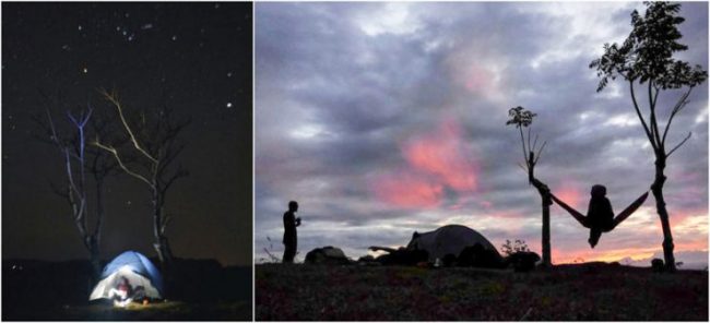 Bukit Pilar Angin via IG @@dede_rustiana @fiatrocks_, 1. Wisata Gunung Papandayan , 2. Wisata Gunung Cikuray , 3. Wisata Gunung Guntur , 4. Tempat Wisata Situ Bagendit di Garut , 5. Wisata Situ dan Candi Cangkuang , 6. Wisata Pemandian Air Panas Cipanas, 7. Wisata Pemandian Air Panas Darajat , 8. Wisata Kawah Putih Talaga Bodas , 9. Wisata Arung Jeram Sungai Cimanuk , 10. Wisata Tebing Alam Batu Tumpang , 11. Wisata Pantai Santolo , 12. Wisata Pantai Sayang Heulang , 13. Wisata Pantai Rancabuaya , 14. Tempat Wisata Taman Satwa Cikembulan di Garut , 15. Wisata Curug Citiis , 16. Wisata Curug Orok , 17. Pantai Puncak Guha di Garut, 18. Wisata Pantai Cijeruk Indah, 19. Wisata Pantai Karang Paranje, 20. Kampung Sampireun, 21. Sabda Alam Cipanas, 22. Kawah Darajat Garut, 23. Curug Cimandi Racun, 24. Curug Sang Hyang Taraje, 25. Kebun Mawar Situhapa Garut, 26. Kawah Kamojang, 27. Pantai Cicalobak, 28. Pantai Taman Manalusu, 29. Perkebunan Teh Dayeuh Manggung, 30. Kolam Air Panas Cikarees, 31. Bukit Pilar Angin, 32. Leuweung Oko D’Great, 33. Leuwi Tonjong, 34. Bukit Palahlar, 35. Bukit Nangklak, 36. Pusat Konservasi Elang Kamojang, 37. Curug Cikawung, 38. Curug Cibadak, 39. Batu Patapaan, 40. Gunung Piramida Sadahurip, 41. Curug Nyogong, 42. Leuwi Korsi, 43. Leuwi Jurig, 44. Leuwi Jubleg, 45. Bukit Teletubbies Pasir Pogor, 46. Karacak Valley, 47. Cilopang Adventure Camp, 48. Papandayan Leisure Park, 49. River Tubing Cikaengan, 50. Curug Batu Nyusun, 51. Curug Ciarjuna, 52. Hutan Mati Gunung Papandayan