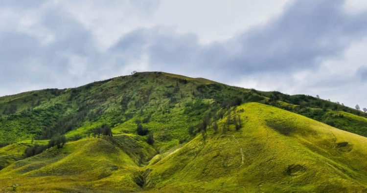 Bukit Teletubbies via Pesona Travel, 1. Wisata Pantai Batu Bengkung Malang, 2. Wisata Batu Night Spectacular (BNS) Malang, 3. Wisata Jatim Park 1, 4. Wahana Wisata Jatim Park 2 Malang, 5. Alun-alun kota Malang, 6. Wisata Petik Apel Malang, 7. Masjid Tiban Malang, 8. Wisata Alam Air Terjun Coban Rondo Malang, 9. Wahana Wisata Eco Green Park Malang, 10. Wisata Museum Angkut Malang, 11. Wisata Pulau Sempu Malang, 12. Wisata Pantai Balekambang Malang, 13. Objek Wisata Bendungan Karangkates Malang, 14. Wahana Wisata Wendit Water Park Malang, 15. Tempat wisata Alam Selecta Malang, 16. Objek Wisata Agrowisata Wonosari Malang, 17. Wahana Wisata Taman Rekreasi Sengkaling Malang, 18. Wisata Kuliner dan Edukasi di Inggil Museum Resto Malang, 19. Wisata Alam Menikmati Kecantikan Alam Ala Omah kayu Malang, 20. Objek Wisata Uji Adrenalin Wisata Paralayang Malang, 21. Wisata Alam 7 Air Terjun Sumber Pitu Malang, 22. Berwisata Menikmati Keperawanan Pantai Sipelot Malang, 23. Tempat Wisata Edukasi Museum Kesehatan Jiwa Malang, 24. Wisata Alam Sumber Air Krabyakan Malang, 25. Wisata Pantai Ngliyep nan Indah di Malang, 26. Wisata Sejarah di Museum D’Topeng Malang, 27. Objek Wisata Panen Madu di Agro Tawon Rimba Raya Malang, 28. Wisata Sejarah Gerbong Maut di Museum Brawijaya Malang, 29. Wisata Edukasi Museum Malang Tempo Doeloe, 30. Objek Wisata Pemandian Air Panas Cangar Batu Malang, 31. Objek Wisata Secret zoo Kebun Binatang Batu Malang, 32. Tempat Wisata Kuliner Es Krim Legendaris di Toko Oen Malang, 33. Mata Air Sumber Sirah, 34. Coban Nirwana atau Coban Mbok Karimah, 35. Pemandian Kalireco Lawang, 36. Teluk Bidadari, 37. Banyu Anjlok, 38. Wisata Tubing Wringinanom, 39. Coban Tundo, 40. Pantai Kedung Celeng, 41. Air Terjun Coban Pelangi, 42. Gua Lo Bangi, 43. Ndayung Rafting, 44. Waduk Selorejo Malang, 45. Pantai Tiga Warna Malang, 46. Teluk Kletekan Malang, 47. Pantai Lenggoksono Malang, 48. Pantai Bajul Mati Malang, 49. Jawa Timur Park 3, 50. Kampung Warna Warni Jodipan, 51. Candi Badut, 51. Sumber Jenon, 52. Wisata Pujon Kidul, 53. Pantai Sendang Biru, 54. Hawai Waterpark, 55. Pura Luhur Giri Arjuno, 56. Museum Tubuh, 57. Kusuma Waterpark, 58. Candi Songgoriti, 59. Taman Singha Merjosari, 60. Taman Kelinci, 61. Candi Singosari, 62. Pura Luhur Giri Arjuno, 63. Masjid Agung Malang, 64. Masjid Annur Batu, 65. Coban Rais, 66. River Tubing di Sungai Amprong, 67. Sumber Maron, 68. Coban Jahe, 69. Coban Talun, 70. Coban Parang Tejo, 71. Coban Gintung, 72. Coban Sewu, 73. Coban Putri, 74. Rafting Kaliwatu, 75. Sumber Taman, 76. Bukit Bulu, 77. De Tjangkul Batu, 78. Taman Labirin Coban Rondo, 79. Bukit Binglis, 80. Bukit Cinta, 81. Bukit Bintang, 82. Bukit Teletubbies, 83. Bukit Asmoro, 84. Bukit Budug Asu, 85. Pantai Banyu Meneng, 86. Pantai Selok, 87. Pantai Sendiki, 88. Pantai Goa Cina, 89. Pantai Sendang Biru, 90. Pantai Watu Leter, 91. Pantai Wedi Awu, 92. Pantai Jonggring Saloko, 93. Pantai Wedi Putih, 94. Pantai Bangsong, 95. Pantai Teluk Asmoro, 96. Pantai Telok, 97. Pantai Parang Dowo, 98. Pantai Jolangkung, 99. Pantai Tomen