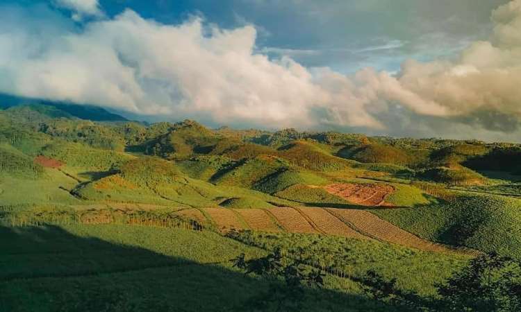 Bukit Teletubbies Blitar via Ig @dharygraph, 1. Pantai Pangi, 2. Pantai Gondo Mayit, 3. Pantai Peh Pulo, 4. Candi Penataran, 5. Arca Warak, 6. Candi Kotes Blitar, 7. Pantai Jolosutro, 8. Gunung Butak, 9. Air Terjun Grenjeng, 10. Curug Kedung Badrun, 11. Coban Wilis, 12. Curug Njumeg, 13. Bukit Bunda, 14. Gumuk Sapu Angin, 15. Puncak Kejora, 16. Brak Papat Sirah Kencong, 17. Coban Jurug Bening, 18. Bukit Teletubbies, 19. Kampung Coklat Kademangan