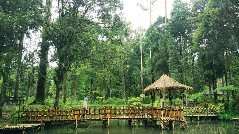 Cimanggu Hot Spring & Cottage, 1. Mari mulai dari atraksi wisata populer di Bandung yang bisa kalian jajal dengan harga minimalis, bahkan ada yang gratis lho! Misalnya saja aneka taman tematiknya yang keren, 2. Dengan 10 ribu rupiah, kalian bisa mengelilingi kota Bandung sambil bergaya keren di atas Bus Bandros, 3. Salurkan hasratmu jadi koboi dengan naik kuda. Harganya mulai dari 5 ribuan saja lho, 4. Ingin tahu seperti apa suasana pasar terapung? Nggak usah jauh-jauh ke Thailand karena di Bandung pun ada Floating Market, 5. Terkadang, wisata murah bisa begitu dekat dengan bintang. Nggak percaya? Mampir saja ke Observatorium Bosscha yang ada di bilangan Lembang untuk membuktikannya, 6. Walau bukan obyek wisata mayor, Cagar Alam Junghuhn layak untuk dikunjungi oleh kalian yang menghargai jasa para pahlawan, 7. Air terjun Maribaya selalu menjadi favorit bagi mereka yang mencintai suasana alam dengan budget yang ekonomis, 8. Dan, dari Maribaya, kalian bisa langsung menuju Taman Hutan Raya Juanda. Harga tiketnya sama ekonomisnya lho, 9. Untuk melengkapi kunjungan di Taman Hutan Raya Juanda, sekalian saja mampir ke tempat selfie paling populer di Bandung, yaitu Tebing Keraton, 10. Menikmati sejuknya udara Bandung bisa kalian lakukan sambil mengenal ragam fauna di Kebun Binatang Bandung, 11. Area Bandung Selatan juga punya banyak obyek wisata yang menyayangi kantong kalian. Misalnya saja wisata Kawah Putih-nya yang super populer itu, 12. Untuk kalian para pecinta wisata alam dan pengagum nilai-nilai romantisme, Situ Patenggang menjadi tempat yang wajib kalian sambangi di Bandung, 13. Mampirlah ke Pemandian Air Panas Cibolang yang akan menghangatkan tubuh kalian dari gigitan udara dingin di Ciwidey, 14. Cibolang bukan satu-satunya tempat yang dapat menghangatkan tubuh kalian saat dingin. Kunjungi saja Taman Wisata Alam Cimanggu yang juga menawarkan kolam pemandian air panas alami, 15. Atau, mampirlah ke pemandian Air Panas Alami Walini/Rancawalini juga populer di wilayah Ciwidey. Kalian dapat menikmati suasana berendam air panas di tengah perkebunan teh, 16. Wisata di Ciwidey akan semakin lengkap jika kalian berjalan-jalan di tengah Perkebunan Teh Rancabali. Pemandangannya yang indah akan membuat siapapun mendadak suka mengambil foto, 17. Untuk menutup wisata hemat di Bandung, mampirlah ke Pasar Gedebage untuk belanja pakaian second berkualitas bagus. Harganya? Murah meriah!, 18. Balitsa Lembang yang Instagramable, 19. Keindahan Babakan Siliwangi yang bikin mata terpana, 20. Mengintip Dinosaurus di Museum Geologi, 21. Kawah Rengganis yang begitu eksotis, 22. Epic Sunrise di Venue Gantole Cililin, 23. Menikmati pesona alam hijau di Bukit Teletubies, 24. Menikmati pesona alam hijau khas bebukitan di Bukit Jamur, 25. Pesona Curug Bellarosa yang bikin pikiran adem, 26. Epiknya pemandangan di Gunung Nini Pangalengan