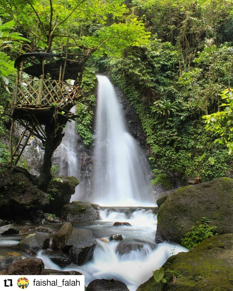 Coban Gintung via IG @faishal_falah, 1. Wisata Pantai Batu Bengkung Malang, 2. Wisata Batu Night Spectacular (BNS) Malang, 3. Wisata Jatim Park 1, 4. Wahana Wisata Jatim Park 2 Malang, 5. Alun-alun kota Malang, 6. Wisata Petik Apel Malang, 7. Masjid Tiban Malang, 8. Wisata Alam Air Terjun Coban Rondo Malang, 9. Wahana Wisata Eco Green Park Malang, 10. Wisata Museum Angkut Malang, 11. Wisata Pulau Sempu Malang, 12. Wisata Pantai Balekambang Malang, 13. Objek Wisata Bendungan Karangkates Malang, 14. Wahana Wisata Wendit Water Park Malang, 15. Tempat wisata Alam Selecta Malang, 16. Objek Wisata Agrowisata Wonosari Malang, 17. Wahana Wisata Taman Rekreasi Sengkaling Malang, 18. Wisata Kuliner dan Edukasi di Inggil Museum Resto Malang, 19. Wisata Alam Menikmati Kecantikan Alam Ala Omah kayu Malang, 20. Objek Wisata Uji Adrenalin Wisata Paralayang Malang, 21. Wisata Alam 7 Air Terjun Sumber Pitu Malang, 22. Berwisata Menikmati Keperawanan Pantai Sipelot Malang, 23. Tempat Wisata Edukasi Museum Kesehatan Jiwa Malang, 24. Wisata Alam Sumber Air Krabyakan Malang, 25. Wisata Pantai Ngliyep nan Indah di Malang, 26. Wisata Sejarah di Museum D’Topeng Malang, 27. Objek Wisata Panen Madu di Agro Tawon Rimba Raya Malang, 28. Wisata Sejarah Gerbong Maut di Museum Brawijaya Malang, 29. Wisata Edukasi Museum Malang Tempo Doeloe, 30. Objek Wisata Pemandian Air Panas Cangar Batu Malang, 31. Objek Wisata Secret zoo Kebun Binatang Batu Malang, 32. Tempat Wisata Kuliner Es Krim Legendaris di Toko Oen Malang, 33. Mata Air Sumber Sirah, 34. Coban Nirwana atau Coban Mbok Karimah, 35. Pemandian Kalireco Lawang, 36. Teluk Bidadari, 37. Banyu Anjlok, 38. Wisata Tubing Wringinanom, 39. Coban Tundo, 40. Pantai Kedung Celeng, 41. Air Terjun Coban Pelangi, 42. Gua Lo Bangi, 43. Ndayung Rafting, 44. Waduk Selorejo Malang, 45. Pantai Tiga Warna Malang, 46. Teluk Kletekan Malang, 47. Pantai Lenggoksono Malang, 48. Pantai Bajul Mati Malang, 49. Jawa Timur Park 3, 50. Kampung Warna Warni Jodipan, 51. Candi Badut, 51. Sumber Jenon, 52. Wisata Pujon Kidul, 53. Pantai Sendang Biru, 54. Hawai Waterpark, 55. Pura Luhur Giri Arjuno, 56. Museum Tubuh, 57. Kusuma Waterpark, 58. Candi Songgoriti, 59. Taman Singha Merjosari, 60. Taman Kelinci, 61. Candi Singosari, 62. Pura Luhur Giri Arjuno, 63. Masjid Agung Malang, 64. Masjid Annur Batu, 65. Coban Rais, 66. River Tubing di Sungai Amprong, 67. Sumber Maron, 68. Coban Jahe, 69. Coban Talun, 70. Coban Parang Tejo, 71. Coban Gintung, 72. Coban Sewu, 73. Coban Putri, 74. Rafting Kaliwatu, 75. Sumber Taman, 76. Bukit Bulu, 77. De Tjangkul Batu, 78. Taman Labirin Coban Rondo, 79. Bukit Binglis, 80. Bukit Cinta, 81. Bukit Bintang, 82. Bukit Teletubbies, 83. Bukit Asmoro, 84. Bukit Budug Asu, 85. Pantai Banyu Meneng, 86. Pantai Selok, 87. Pantai Sendiki, 88. Pantai Goa Cina, 89. Pantai Sendang Biru, 90. Pantai Watu Leter, 91. Pantai Wedi Awu, 92. Pantai Jonggring Saloko, 93. Pantai Wedi Putih, 94. Pantai Bangsong, 95. Pantai Teluk Asmoro, 96. Pantai Telok, 97. Pantai Parang Dowo, 98. Pantai Jolangkung, 99. Pantai Tomen