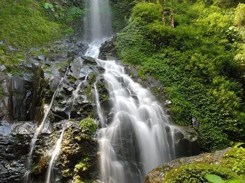 Coban Trisula, 1. Wisata Pantai Batu Bengkung Malang, 2. Wisata Batu Night Spectacular (BNS) Malang, 3. Wisata Jatim Park 1, 4. Wahana Wisata Jatim Park 2 Malang, 5. Alun-alun kota Malang, 6. Wisata Petik Apel Malang, 7. Masjid Tiban Malang, 8. Wisata Alam Air Terjun Coban Rondo Malang, 9. Wahana Wisata Eco Green Park Malang, 10. Wisata Museum Angkut Malang, 11. Wisata Pulau Sempu Malang, 12. Wisata Pantai Balekambang Malang, 13. Objek Wisata Bendungan Karangkates Malang, 14. Wahana Wisata Wendit Water Park Malang, 15. Tempat wisata Alam Selecta Malang, 16. Objek Wisata Agrowisata Wonosari Malang, 17. Wahana Wisata Taman Rekreasi Sengkaling Malang, 18. Wisata Kuliner dan Edukasi di Inggil Museum Resto Malang, 19. Wisata Alam Menikmati Kecantikan Alam Ala Omah kayu Malang, 20. Objek Wisata Uji Adrenalin Wisata Paralayang Malang, 21. Wisata Alam 7 Air Terjun Sumber Pitu Malang, 22. Berwisata Menikmati Keperawanan Pantai Sipelot Malang, 23. Tempat Wisata Edukasi Museum Kesehatan Jiwa Malang, 24. Wisata Alam Sumber Air Krabyakan Malang, 25. Wisata Pantai Ngliyep nan Indah di Malang, 26. Wisata Sejarah di Museum D’Topeng Malang, 27. Objek Wisata Panen Madu di Agro Tawon Rimba Raya Malang, 28. Wisata Sejarah Gerbong Maut di Museum Brawijaya Malang, 29. Wisata Edukasi Museum Malang Tempo Doeloe, 30. Objek Wisata Pemandian Air Panas Cangar Batu Malang, 31. Objek Wisata Secret zoo Kebun Binatang Batu Malang, 32. Tempat Wisata Kuliner Es Krim Legendaris di Toko Oen Malang, 33. Mata Air Sumber Sirah, 34. Coban Nirwana atau Coban Mbok Karimah, 35. Pemandian Kalireco Lawang, 36. Teluk Bidadari, 37. Banyu Anjlok, 38. Wisata Tubing Wringinanom, 39. Coban Tundo, 40. Pantai Kedung Celeng, 41. Air Terjun Coban Pelangi, 42. Gua Lo Bangi, 43. Ndayung Rafting, 44. Waduk Selorejo Malang, 45. Pantai Tiga Warna Malang, 46. Teluk Kletekan Malang, 47. Pantai Lenggoksono Malang, 48. Pantai Bajul Mati Malang, 49. Jawa Timur Park 3, 50. Kampung Warna Warni Jodipan, 51. Candi Badut, 51. Sumber Jenon, 52. Wisata Pujon Kidul, 53. Pantai Sendang Biru, 54. Hawai Waterpark, 55. Pura Luhur Giri Arjuno, 56. Museum Tubuh, 57. Kusuma Waterpark, 58. Candi Songgoriti, 59. Taman Singha Merjosari, 60. Taman Kelinci, 61. Candi Singosari, 62. Pura Luhur Giri Arjuno, 63. Masjid Agung Malang, 64. Masjid Annur Batu, 65. Coban Rais, 66. River Tubing di Sungai Amprong, 67. Sumber Maron, 68. Coban Jahe, 69. Coban Talun, 70. Coban Parang Tejo, 71. Coban Gintung, 72. Coban Sewu, 73. Coban Putri, 74. Rafting Kaliwatu, 75. Sumber Taman, 76. Bukit Bulu, 77. De Tjangkul Batu, 78. Taman Labirin Coban Rondo, 79. Bukit Binglis, 80. Bukit Cinta, 81. Bukit Bintang, 82. Bukit Teletubbies, 83. Bukit Asmoro, 84. Bukit Budug Asu, 85. Pantai Banyu Meneng, 86. Pantai Selok, 87. Pantai Sendiki, 88. Pantai Goa Cina, 89. Pantai Sendang Biru, 90. Pantai Watu Leter, 91. Pantai Wedi Awu, 92. Pantai Jonggring Saloko, 93. Pantai Wedi Putih, 94. Pantai Bangsong, 95. Pantai Teluk Asmoro, 96. Pantai Telok, 97. Pantai Parang Dowo, 98. Pantai Jolangkung, 99. Pantai Tomen