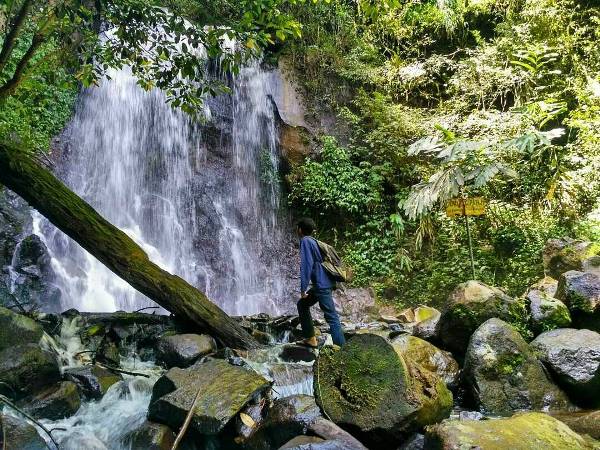 Curug Cipanji, 1. Gunung Tangkuban Perahu, 2. Trans Studio Bandung, 3. Wisata Kawah Putih Ciwidey, 4. Curug Dago di Bandung, 5. Wisata Belanja Pasar Baru di Bandung, 6. Wisata Edukasi Observatorium Bosscha di Bandung, 7. Wisata Alam Danau Situ Patenggang di Bandung, 8. Wisata Air Panas Ciater, 9. Wisata Kampung Gajah di Bandung (Tutup Permanen), 10. Tempat Wisata Kebun Binatang di Bandung, 11. Wisata Rumah Mode Bandung, 12. Wisata Seni Saung Angklung Udjo Di Bandung, 13. Wisata Edukasi Museum Geologi Bandung, 14. Paskal Food Market, 15. Rumah Strawberry Ciwidey, 16. Cihampelas Walk, 17. Museum Konferensi Asia Afrika, 18. Museum Sri Baduga Bandung, 19. Taman Lalu Lintas Ade Irma Suryani, 20. Kolam Renang Karang Setra, 21. Taman Wisata Alam Maribaya, 22. Kawasan Punclut Bandung Utara, 23. Kebun Bunga Cihideung, 24. Tempat Wisata De’Ranch, 25. Wisata Kuliner Floating Market, 26. Perkebunan Teh Rancabali, 27. Wisata Air Panas Ciwalini, 28. Wisata Bumi Perkemahan Ranca Upas, 29. Little Seoul Bandung, 30. Dusun Bambu Lembang, 31. Taman Hutan Raya Ir Djuanda, 32. Curug Upas, 33. Ciwidey Valley Resort, 34. Sendang Kahuripan, 35. Situ Cileunca, 36. Taman Balai Kota, 37. Gunung Puntang, 38. Stone Garden, 39. Chinatown Bandung, 40. Bird Pavilion, 41. Curug Malela, 42. Tebing Keraton, 43. Puncak Bintang, 44. Amazing Art World, 45. Street Gourmet, 46. Curug Cimahi, 47. Tafso Barn, 48. Sanghyang Heuleut, 49. The Great Asia Afrika, 50. Tebing Citatah, 51. Jalan Braga, 52. D’Dieuland, 53. Jembatan Kereta Api Cikudapateuh Ciwidey, 54. Upside Down World Bandung, 55. Orchid Forest Cikole, 56. Kebun Teh Sukawana, 57. Kampoeng Tulip, 58. Kampung Pasir Ipis, 59. Kebun Bunga Begonia, 60. Wisata Grafika Cikole, 61. Pine Forest Camp Lembang, 62. The Lodge Maribaya, 63. Farm House Susu Lembang, 64. Glamping Lakeside, 65. Curug Keraton Cibodas, 66. Curug Layung Lembang, 67. Curug Tilu Leuwi Opat, 68. Jendela Alam, 69. Ciwangun Indah Camp (CIC) Lembang, 70. Taman Miniatur Kereta Api, 71. Lereng Anteng Panoramic Coffee, 72. Gunung Putri Lembang, 73. Kawasan Berkuda Ganesha H Equestrian, 74. Bukit Labyrinth Ganesha H Equestrian, 75. Bukit Pangjebolan Lembang, 76. Argowisata Kawah Rengganis, 77. Pemandian Air Panas Ciwalini, 78. Curug Cipanji Bandung, 79. Wisata Air Curug Tilu, 80. Bukit Jamur Rancabolang Ciwidey, 81. Barusen Hills, 82. Kampung Cai Rancaupas, 83. Bumi Perkemahan Ranca Cangkuang, 84. Cimanggu Hot Spring & Cottage, 85. Taman Kelinci Ciwidey, 86. Danau eMTe Highland Resort, 87. Green Hill Park TWA Cimanggu