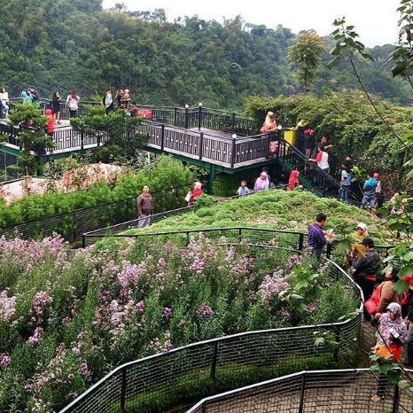 Farm House, Informasi Dasar, Daya Tarik Lembang, Tempat Wisata di Lembang Bandung, Tempat Wisata di Lembang yang Sudah Tutup, Aktivitas Seru yang Wajib Dilakukan di Lembang, Akses Menuju Lembang