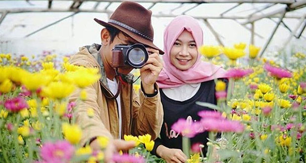 Flower Farm Setiya Aji, Rekomendasi Tempat Wisata di Jawa Tengah, Tempat Wisata di Semarang Jawa Tengah, Tempat Wisata di Salatiga Jawa Tengah, Tempat Wisata di Purwokerto Jawa Tengah, Tempat Wisata di Purworejo, Tempat Wisata di Jawa Tengah Hits Lainnya
