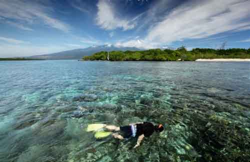 Gili Sulat dan Gili Lawang, 1. Gunung Rinjani Lombok, 2. Wisata Pantai Kuta Lombok, 3. Wisata Desert Point (Bangko-Bangko) Lombok, 4. Gili Kondo, 5. Wisata Pantai Senggigi Lombok, 6. Wisata Gili Air, Gili Meno, dan Gili Trawangan di Lombok, 7. Pantai Tanjung Aan, 8.  Pantai Tanjung Bloam, 9. Tempat Wisata Pantai Selong Belanak Lombok, 10. Sade Village, 11. Pantai Sekotong , 12. Air Terjun Sandang Gile , 13. Gili Nanggu Lombok, 14. Objek Wisata Batu Bolong, 15. Objek Wisata Batu Layar , 16. Narmada Park, 17. Pink Beach Lombok, 18. Gili Lampu Lombok Timur, 19. Bukit Malimbu , 20. Gili Kedis, 21. Lingkoq Datu, Pantai Penyisok, 22. Bukit Pergasingan, 23. Pantai Semeti, 24. Air Terjun Mangku Sakti, 25. Air Terjun Benang Kelambu, 26. Air Terjun Tiu Kelep, 27. Tanjung Poki, 28. Pantai Nambung, 29. Taman Wisata Alam Gunung Tunak, Pemandangan Samudera di atas Bukit Hijau, 30. Rinjani Lodge, 31. Pantai Tebing, 32. Sumber Air Panas Aik Kalak, 33. Danau Segara Anak, 34. Pantai Mawun Lombok, 35. Pantai Seger, 36. Pantai Surga, 37. Tanjung Ringgit, 38. Gili Sulat dan Gili Lawang, 39. Pantai Sire, 40. Air Terjun Penimbungan: Surga Tersembunyi di Torean, 41. Jembatan Gantung Kuno: Peninggalan Jaman Penjajahan Belanda yang berumur 84 Tahun, 42. Taman Wisata Pusuk Sembalun: Mengagumi Pemandangan Gunung Rinjani yang Megah, 43. Pantai Setangi: Villa Hantu yang Mendebarkan, 44. Batu Payung, Tanjung Aan: Monumen Alam yang Berdiri Kokoh di Tepi Pantai, 45. Bau Nyale: Tempat Perayaan Festival Legendaris, 46. Desa Bayan Sasak: Menyelami Kehidupan 5000 tahun SM, 47. Ashtari Lounge and Kitchen: Menyantap Makanan di Puncak Bukit, 48. Artati Lombok Bungalow and Restaurant , 49. Bertenun Tradisional di Desa Sukarara, 50. Bask Nest: Menjelajahi Dunia Bawah Laut yang Artistik, 51. Gua Bangkang: Suasana Dramatis di Tepi Pantai