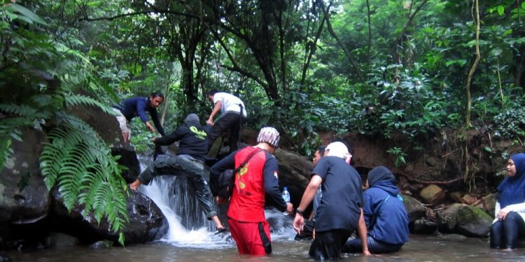Halimun Adventure Journey, 1. Wisata Pantai Cibangban, 2. Objek Wisata Goa Buniayu, 3. Tempat Wisata Pantai Ujung Genteng Sukabumi, 4. Wisata Pantai Cimaja, 5. Tempat Wisata Taman Rekreasi Selabintana Sukabumi, 6. Situ Gunung Sukabumi, 7. Kawah Ratu Sukabumi, 8. Rafting di Sungai Citarik, 9. Berwisata ke Kampung Ciptagelar Sukabumi, 10. Objek Wisata Arung Jeram Sungai Cicatih, 11. Tempat Wisata Geopark Ciletuh Sukabumi, 12. Tempat Wisata Situ Sukarame di Sukabumi, 13. Curug Sawer Sukabumi, 14. Wana Wisata Cipelang, Wisata Alam Pegunungan Sukabumi, 15. Objek wisata Pondok Halimun Sukabumi, 16. Objek Wisata Megalitik Cengkuk Sukabumi, 17. Objek Wisata Sumber Air Panas Cikundul Sukabumi, 18. Penangkaran Penyu Hijau di Pantai Pangumbahan, 19. Objek Wisata Alam Curug Cibeureum Sukabumi, 20. Tebing Panenjoan, 21. Objek Wisata Curug Cimarinjung Sukabumi, 22. Liburan ke Pantai Citepus Sukabumi, 23. Pantai Cikembang Sukabumi, 24. Curug Sentral Kebandungan, 25. Pantai Cipanarikan Sukabumi, 26. Pantai Amanda Ratu, 27. Bukit Karang Numpang, 28. Ryzzy Azzahra Waterpark, 29. Waterboom Nagrak, 30. Liburan ke Pantai Cibongkok Sukabumi, 31. Berwisata ke Pantai Ombak Tujuh Sukabumi, 32. Liburan Seru ke Pantai Cibuaya Sukabumi, 33. Rekreasi ke Pantai Karang Hawu Sukabumi, 34. Liburan yang Asyik ke Curug Awang Sukabumi, 35. Objek wisata Curug Cikaso Sukambumi, 36. Liburan Seru ke Curug Cigangsa Sukabumi, 37. Mengunjungi Curug Sentral Kabandungan nan Eksotis, 38. Nyebur ke Curug Sodong yang Adem, 39. Wisata Seru ke Curug Bibijilan Sukabumi, 40. Mengintip Curug Cirajeg yang Tersembunyi, 41. Curug Gentong nan cantik dan menawan, 42. Melihat Keindahan Danau Batu Bacan Sukabumi, 43. Berendam di Pemandian Air Panas Cisolok, 44. Gua Lalay Sukabumi Jawa Barat, 45. Taman Nasional Gunung Halimun Salak Sukabumi, 46. Taman Rekreasi Danau Lido Sukabumi, 47. Pantai Cicaladi, 48. Halimun Adventure Journey, 49. Rumah Fantasi, 50. Bravo Adventure, 51. Karang Aji Beach Villa, 52. Bukit Sabak, 53. Sabana Puncak Pilar, 54. Santa Sea Waterpark, 55. Jembatan Situ Gunung, 56. Geyser Cisolok, 57. Karang Para, 58. Curug Caweni, 59. Wisata Bukit Baros, 60. Camp Bravo, 61. Puncak Peuyeum, 62. Curug Cikanteh Sukabumi