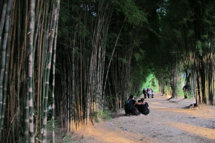 Hutan Bambu Foto by Gmap Febrilla dhien, 1. Wisata Monumen Pahlawan, 2. Wisata patung Buddha dengan Empat Wajah , 3. Wisata Jembatan Merah , 4. Wisata Monumen Kapal Selam di Surabaya, 5. Taman Harmoni Keputih, 6. Wisata Museum WR. Soepratman , 7. Wisata Kelenteng Hong Tiek Hian, 8. Wisata Jembatan Suramadu, 9. Wisata Rumah Batik, 10. Wisata Monumen Bambu Runcing , 11. Wisata Ciputra Waterpark (Tutup), 12. Wisata Kebun Binatang Surabaya , 13. Wisata Hutan Mangrove Wonorejo, 14. Wisata Pantai Kenjeran, 15. Wisata Pasar Bunga Bratang , 16. Wisata Masjid Nasional Al-Akbar di Surabaya, 17. Wisata Gereja Perawan Maria Tak Berdosa , 18. Wisata Taman Bungkul , 19. Wisata Taman Apsari , 20. Taman Dr. Soetomo (Taman Korea) , 21. Wisata Taman Mayangkara di Surabaya, 22. Wisata Taman Pelangi , 23. Wisata Taman Mundu , 24. Taman Buah Undaan di Surabaya, 25. Wisata Taman Prestasi di Surabaya, 26. Wisata House of Sampoerna , 27. Surabaya North Quay, 28. Taman Gantung Surabaya, 29. Monumen Suroboyo – Suroboyo Park, 30. Jembatan Biru Kenjeran Surabaya, 31. Food Junction Grand Pakuwon, 32. Skate & BMX Surabaya, 33. Waterpark Kenjeran – Ria Beach Kenjeran, 34. Arca Joko Dolog Surabaya, 35. Monumen Patung Gubernur Suryo, 36. Masjid Ampel Surabaya, 37. Perpustakaan Bank Indonesia, 38. Kebun Bibit Wonorejo, 39. Museum Kesehatan Dr. Adhyatma, 40. Jalan Kembang Jepun, 41. THR (Taman Hiburan Rakyat), 42. Masjid Muhammad Cheng Hoo, 43. Kebun Bibit Ngagel Jaya (Kebun Bibit Wonorejo 2), 44. Museum Surabaya (Gedung Siola), 45. Monumen Jalesveva Jayamahe, 45. Taman Kenjeran Surabaya, 46. Jalan Tunjungan Surabaya, 47. Kampung Bulak Surabaya, 48. Gereja Kepanjen, Surabaya, 49. Klenteng Sanggar Agung, 50. Taman Sakura Keputih, 51. Suroboyo Carnival Park (Tutup), 52. G Walk Surabaya, 53. Hutan Bambu Keputih, 54. De Mata Trick Eye Museum (Tutup), 55. Kebun Bibit Surabaya, 56. Taman Pertanian Terpadu Balas Klumprik, 57. Kota Tua Surabaya, 58. Taman Cahaya, 59. Surya Park