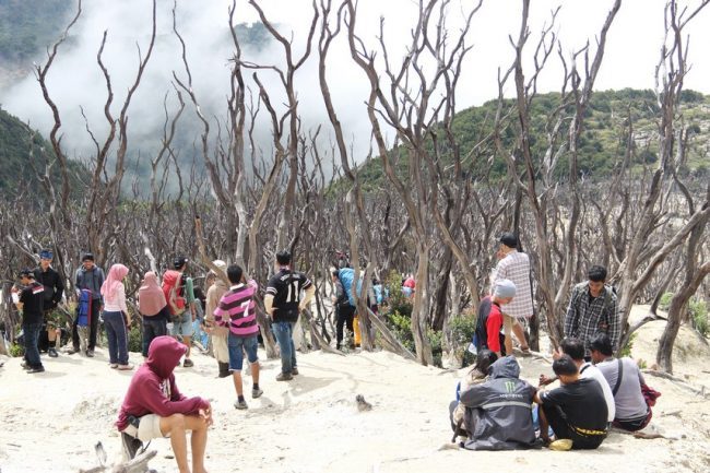 Hutan Mati Gunung Papandayan, 1. Wisata Gunung Papandayan , 2. Wisata Gunung Cikuray , 3. Wisata Gunung Guntur , 4. Tempat Wisata Situ Bagendit di Garut , 5. Wisata Situ dan Candi Cangkuang , 6. Wisata Pemandian Air Panas Cipanas, 7. Wisata Pemandian Air Panas Darajat , 8. Wisata Kawah Putih Talaga Bodas , 9. Wisata Arung Jeram Sungai Cimanuk , 10. Wisata Tebing Alam Batu Tumpang , 11. Wisata Pantai Santolo , 12. Wisata Pantai Sayang Heulang , 13. Wisata Pantai Rancabuaya , 14. Tempat Wisata Taman Satwa Cikembulan di Garut , 15. Wisata Curug Citiis , 16. Wisata Curug Orok , 17. Pantai Puncak Guha di Garut, 18. Wisata Pantai Cijeruk Indah, 19. Wisata Pantai Karang Paranje, 20. Kampung Sampireun, 21. Sabda Alam Cipanas, 22. Kawah Darajat Garut, 23. Curug Cimandi Racun, 24. Curug Sang Hyang Taraje, 25. Kebun Mawar Situhapa Garut, 26. Kawah Kamojang, 27. Pantai Cicalobak, 28. Pantai Taman Manalusu, 29. Perkebunan Teh Dayeuh Manggung, 30. Kolam Air Panas Cikarees, 31. Bukit Pilar Angin, 32. Leuweung Oko D’Great, 33. Leuwi Tonjong, 34. Bukit Palahlar, 35. Bukit Nangklak, 36. Pusat Konservasi Elang Kamojang, 37. Curug Cikawung, 38. Curug Cibadak, 39. Batu Patapaan, 40. Gunung Piramida Sadahurip, 41. Curug Nyogong, 42. Leuwi Korsi, 43. Leuwi Jurig, 44. Leuwi Jubleg, 45. Bukit Teletubbies Pasir Pogor, 46. Karacak Valley, 47. Cilopang Adventure Camp, 48. Papandayan Leisure Park, 49. River Tubing Cikaengan, 50. Curug Batu Nyusun, 51. Curug Ciarjuna, 52. Hutan Mati Gunung Papandayan