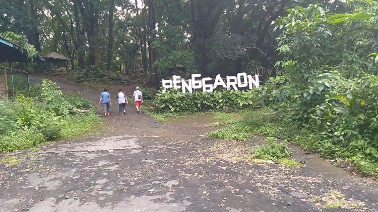 Hutan Penggaron via Kompasiana, 1. Wisata Pantai Maron, 2. Wisata Lawang Sewu di Semarang, 3. Kampoeng Wisata Taman Lele di Semarang, 4. Wisata Pantai Marina, 5. Wisata Pantai Tirang di Semarang, 6. Berwisata di Masjid Agung Jawa Tengah (MAJT), 7. Wisata Air Terjun Kali Pancur di Semarang, 8. Wisata Pagoda Buddhagaya Watugong di Semarang, 9. Taman Rekreasi Wonderia di Semarang, 10. Wisata Curug Benowo di Semarang, 11. Wisata Goa Kreo Semarang, 12. Wisata Sam Poo Kong, 13. Wisata Museum Ronggowarsito, 14. Berwisata ke Kota Lama Semarang, 15. Berwisata ke Komplek Pecinan Semarang, 16. Jalan Pahlawan Semarang, 17. Pasar Rakyat Simpang Lima, 18. Wisata Hutan Tinjomoyo di Semarang, 19. Wisata Kebun Binatang Mangkang di Semarang, 20. Wisata Tugu Muda, 21. Wisata Museum Mandala Bakti di Semarang, 22. Wisata Bukit Gombel di Semarang, 23. Wisata Water Blaster Bukit Candi Golf di Semarang, 24. Wisata Stasiun Tawang di Semarang, 25. Wisata ke Masjid Menara (Layur) di Semarang, 26. Wisata ke BSB (Bukit Semarang Baru), 27. Maerokoco Semarang, 28. Wisata Taman KB (wisata kuliner) di Semarang, 29. Wisata Brown Canyon, 29. Jalan Pandanaran (pusat jajanan semarang), 30. Wisata Keluarga New Bandungan Indah Waterpark, 31. Museum Muri di Semarang, 33. Candi Gedong Songo + Pemandian Air Panas, 34. Kebun Teh Medini di Semarang , 35. Air terjun + Pemandian Air Panas Gonoharjo, 36. Curug Lawe di Semarang, 37. Kebun Karet BSB di Semarang, 38. Wisata Gelora Jati Diri di Semarang, 39. Kebun Buah Boja, 40. Tempat Wisata Taman Unyil Ungaran, 41. Pemancingan Baron, 42. Umbul Sidomukti, 43. Lembah Kalipancur, 44. Waduk Diponegoro, 45. Saloka Theme Park, 46. Masjid Kapal Semarang, 47. Taman Bunga Bandungan, 48. Flower Farm Setiya Aji, 49. Kebun Durian Semarang, 50. Watu Gunung Ungaran, 51. Air Terjun Semirang, 52. Pura Agung Giri Natha, 53. Semarang Gallery, 54. Kampung Batik, 55. Kampung Tematik Jawi, 56. Kampoeng Kopi Banaran, 58. Taman Djamoe Indonesia, 59. Old City 3D Trick Art Museum, 60. Goa Rong View, 61. Jembatan Biru Ambarawa, 62. La Kana Chapel, 63. Gereja Blenduk, 64. Museum Satria, 65. Semarang Fair (PRPP), 66. Hutan Penggaron, 67. Hutan Mangrove, 68. Pasar Johar disaat Dugderan, 69. Wisata Kuliner Lumpia Semarang, 70. Pondok Kopi Sidomukti Ungaran, 71. Wisata Susan SPA Bandungan, 72. Jembatan Harapan, 73. Hutan Pinus, 74. Kamu Pecinta Sambal? Cobain ke Waroeng Kaligarong!