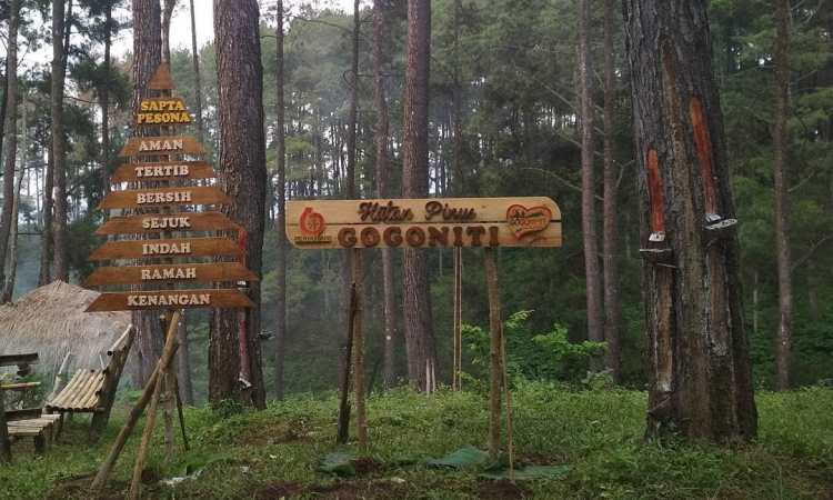 Hutan Pinus Gogoniti via IG @WisataGogoniti, 1. Kampung Coklat, 2. Taman Kebon Rojo, 3. Pantai Tambakrejo, 4. Pantai Pangi, 5. Perkebunan Teh Sirah Kencong, 6. Pantai Serang, 7. Blitar Park, 8. Petilasan Rambut Monte, 9. Candi Penataran, 10. Pantai Peh Pulo, 11. Goa Embultuk, 12. Candi Gambar Wetan, 13. Situs Arca Warak, 14. Candi Kotes, 15. Candi Sawentar, 16. Makam Bung Karno, 17. Istana Gebang, 18. Water Park Sumberudel, 19. Desa Wisata Semen, 20. Wisata Sejarah Monumen Trisula, 21. Penangkaran Rusa Maliran, 22. Agrowisata Karangsari Blitar, 23. Gunung Butak, 24. Pantai Gondo Mayit, 25. Air Terjun Coban Wilis, 26. Air Terjun Sirah Kencong, 27. Air Terjun Grenjeng, 28. Air Terjun Jurug Bening , 29. Objek Wisata Alam Pacuh, 30. Pantai Umbul Waru, 31. Curug dan Kedung Badrun, 32. Air Terjun Lawean, 33. Pantai Jolosutro, 34. Arung Jeram Soko Adventure Blitar, 35. Goa Maria Sendang Rejo, 36. Gardu Pandang Perkebunan Gambar, 37. Omah Djadoel, 38. Gunung Kelud, 39. Air Terjun Kedung Entong, 40.  Air Terjun Tirto Galuh, 41. Taman Jurug Goa Luweng Prodo, 42. Bukit Teletubies Blitar, 43. Hutan Pinus Gogoniti, 44. Kampung Afrika Blitar, 45. Gunung Butak, 46. Pantai Pasur, 47. Pantai Serit, 48. Monumen PETA, 49. Wisata Alam Paco, 50. Bendungan Serut, 51. Arca Gamprang, 52. Candi Simping, 53. Jurug Moncar, 54. Candi Mleri, 55. Candi Kalicilik, 56. Alun-alun Blitar, 57. Blitar Green Park, 58. Taman Pecut, 59. Fish Garden Blitar, 60. Kaloka Lodoyo, 61. Pemandian Sumur Amber Kandangan, 62. Bendungan Wlingi Raya, 63. Taman Idaman Hati Wlingi Blitar, 64. Villa Puncak Pesanggrahan Tambakrejo