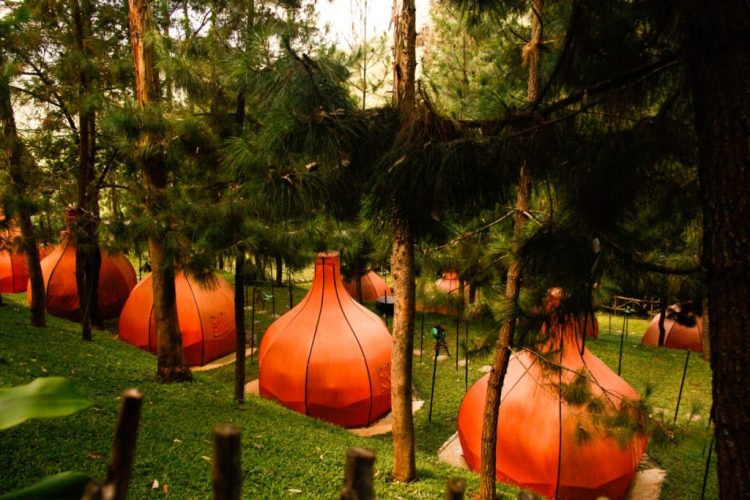 Hutan Pinus Maribaya ia Yourbandung, Informasi Dasar, Daya Tarik Lembang, Tempat Wisata di Lembang Bandung, Tempat Wisata di Lembang yang Sudah Tutup, Aktivitas Seru yang Wajib Dilakukan di Lembang, Akses Menuju Lembang