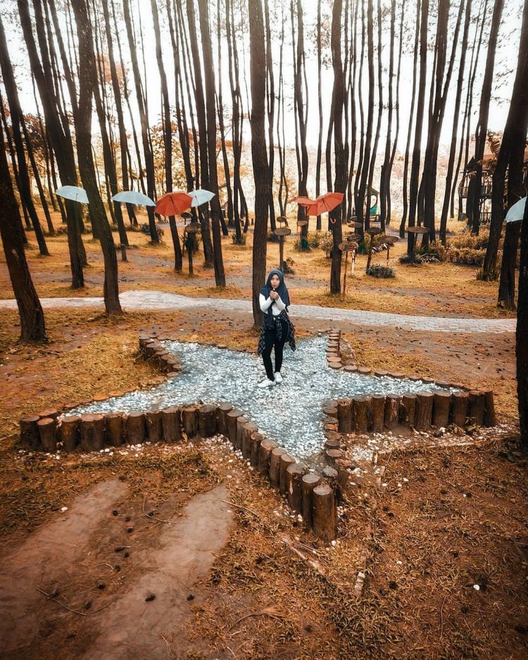 Hutan Pinus Semeru via IG @wandravisual, 1. Wisata Pantai Batu Bengkung Malang, 2. Wisata Batu Night Spectacular (BNS) Malang, 3. Wisata Jatim Park 1, 4. Wahana Wisata Jatim Park 2 Malang, 5. Alun-alun kota Malang, 6. Wisata Petik Apel Malang, 7. Masjid Tiban Malang, 8. Wisata Alam Air Terjun Coban Rondo Malang, 9. Wahana Wisata Eco Green Park Malang, 10. Wisata Museum Angkut Malang, 11. Wisata Pulau Sempu Malang, 12. Wisata Pantai Balekambang Malang, 13. Objek Wisata Bendungan Karangkates Malang, 14. Wahana Wisata Wendit Water Park Malang, 15. Tempat wisata Alam Selecta Malang, 16. Objek Wisata Agrowisata Wonosari Malang, 17. Wahana Wisata Taman Rekreasi Sengkaling Malang, 18. Wisata Kuliner dan Edukasi di Inggil Museum Resto Malang, 19. Wisata Alam Menikmati Kecantikan Alam Ala Omah kayu Malang, 20. Objek Wisata Uji Adrenalin Wisata Paralayang Malang, 21. Wisata Alam 7 Air Terjun Sumber Pitu Malang, 22. Berwisata Menikmati Keperawanan Pantai Sipelot Malang, 23. Tempat Wisata Edukasi Museum Kesehatan Jiwa Malang, 24. Wisata Alam Sumber Air Krabyakan Malang, 25. Wisata Pantai Ngliyep nan Indah di Malang, 26. Wisata Sejarah di Museum D’Topeng Malang, 27. Objek Wisata Panen Madu di Agro Tawon Rimba Raya Malang, 28. Wisata Sejarah Gerbong Maut di Museum Brawijaya Malang, 29. Wisata Edukasi Museum Malang Tempo Doeloe, 30. Objek Wisata Pemandian Air Panas Cangar Batu Malang, 31. Objek Wisata Secret zoo Kebun Binatang Batu Malang, 32. Tempat Wisata Kuliner Es Krim Legendaris di Toko Oen Malang, 33. Mata Air Sumber Sirah, 34. Coban Nirwana atau Coban Mbok Karimah, 35. Pemandian Kalireco Lawang, 36. Teluk Bidadari, 37. Banyu Anjlok, 38. Wisata Tubing Wringinanom, 39. Coban Tundo, 40. Pantai Kedung Celeng, 41. Air Terjun Coban Pelangi, 42. Gua Lo Bangi, 43. Ndayung Rafting, 44. Waduk Selorejo Malang, 45. Pantai Tiga Warna Malang, 46. Teluk Kletekan Malang, 47. Pantai Lenggoksono Malang, 48. Pantai Bajul Mati Malang, 49. Jawa Timur Park 3, 50. Kampung Warna Warni Jodipan, 51. Candi Badut, 51. Sumber Jenon, 52. Wisata Pujon Kidul, 53. Pantai Sendang Biru, 54. Hawai Waterpark, 55. Pura Luhur Giri Arjuno, 56. Museum Tubuh, 57. Kusuma Waterpark, 58. Candi Songgoriti, 59. Taman Singha Merjosari, 60. Taman Kelinci, 61. Candi Singosari, 62. Pura Luhur Giri Arjuno, 63. Masjid Agung Malang, 64. Masjid Annur Batu, 65. Coban Rais, 66. River Tubing di Sungai Amprong, 67. Sumber Maron, 68. Coban Jahe, 69. Coban Talun, 70. Coban Parang Tejo, 71. Coban Gintung, 72. Coban Sewu, 73. Coban Putri, 74. Rafting Kaliwatu, 75. Sumber Taman, 76. Bukit Bulu, 77. De Tjangkul Batu, 78. Taman Labirin Coban Rondo, 79. Bukit Binglis, 80. Bukit Cinta, 81. Bukit Bintang, 82. Bukit Teletubbies, 83. Bukit Asmoro, 84. Bukit Budug Asu, 85. Pantai Banyu Meneng, 86. Pantai Selok, 87. Pantai Sendiki, 88. Pantai Goa Cina, 89. Pantai Sendang Biru, 90. Pantai Watu Leter, 91. Pantai Wedi Awu, 92. Pantai Jonggring Saloko, 93. Pantai Wedi Putih, 94. Pantai Bangsong, 95. Pantai Teluk Asmoro, 96. Pantai Telok, 97. Pantai Parang Dowo, 98. Pantai Jolangkung, 99. Pantai Tomen