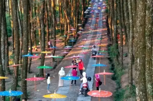 Hutan Pinus Sokowolu Semarang, 1. Wisata Pantai Maron, 2. Wisata Lawang Sewu di Semarang, 3. Kampoeng Wisata Taman Lele di Semarang, 4. Wisata Pantai Marina, 5. Wisata Pantai Tirang di Semarang, 6. Berwisata di Masjid Agung Jawa Tengah (MAJT), 7. Wisata Air Terjun Kali Pancur di Semarang, 8. Wisata Pagoda Buddhagaya Watugong di Semarang, 9. Taman Rekreasi Wonderia di Semarang, 10. Wisata Curug Benowo di Semarang, 11. Wisata Goa Kreo Semarang, 12. Wisata Sam Poo Kong, 13. Wisata Museum Ronggowarsito, 14. Berwisata ke Kota Lama Semarang, 15. Berwisata ke Komplek Pecinan Semarang, 16. Jalan Pahlawan Semarang, 17. Pasar Rakyat Simpang Lima, 18. Wisata Hutan Tinjomoyo di Semarang, 19. Wisata Kebun Binatang Mangkang di Semarang, 20. Wisata Tugu Muda, 21. Wisata Museum Mandala Bakti di Semarang, 22. Wisata Bukit Gombel di Semarang, 23. Wisata Water Blaster Bukit Candi Golf di Semarang, 24. Wisata Stasiun Tawang di Semarang, 25. Wisata ke Masjid Menara (Layur) di Semarang, 26. Wisata ke BSB (Bukit Semarang Baru), 27. Maerokoco Semarang, 28. Wisata Taman KB (wisata kuliner) di Semarang, 29. Wisata Brown Canyon, 29. Jalan Pandanaran (pusat jajanan semarang), 30. Wisata Keluarga New Bandungan Indah Waterpark, 31. Museum Muri di Semarang, 33. Candi Gedong Songo + Pemandian Air Panas, 34. Kebun Teh Medini di Semarang , 35. Air terjun + Pemandian Air Panas Gonoharjo, 36. Curug Lawe di Semarang, 37. Kebun Karet BSB di Semarang, 38. Wisata Gelora Jati Diri di Semarang, 39. Kebun Buah Boja, 40. Tempat Wisata Taman Unyil Ungaran, 41. Pemancingan Baron, 42. Umbul Sidomukti, 43. Lembah Kalipancur, 44. Waduk Diponegoro, 45. Saloka Theme Park, 46. Masjid Kapal Semarang, 47. Taman Bunga Bandungan, 48. Flower Farm Setiya Aji, 49. Kebun Durian Semarang, 50. Watu Gunung Ungaran, 51. Air Terjun Semirang, 52. Pura Agung Giri Natha, 53. Semarang Gallery, 54. Kampung Batik, 55. Kampung Tematik Jawi, 56. Kampoeng Kopi Banaran, 58. Taman Djamoe Indonesia, 59. Old City 3D Trick Art Museum, 60. Goa Rong View, 61. Jembatan Biru Ambarawa, 62. La Kana Chapel, 63. Gereja Blenduk, 64. Museum Satria, 65. Semarang Fair (PRPP), 66. Hutan Penggaron, 67. Hutan Mangrove, 68. Pasar Johar disaat Dugderan, 69. Wisata Kuliner Lumpia Semarang, 70. Pondok Kopi Sidomukti Ungaran, 71. Wisata Susan SPA Bandungan, 72. Jembatan Harapan, 73. Hutan Pinus, 74. Kamu Pecinta Sambal? Cobain ke Waroeng Kaligarong!
