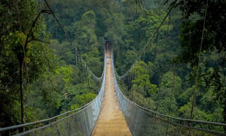 Jembatan Situ Gunung, 1. Wisata Pantai Cibangban, 2. Objek Wisata Goa Buniayu, 3. Tempat Wisata Pantai Ujung Genteng Sukabumi, 4. Wisata Pantai Cimaja, 5. Tempat Wisata Taman Rekreasi Selabintana Sukabumi, 6. Situ Gunung Sukabumi, 7. Kawah Ratu Sukabumi, 8. Rafting di Sungai Citarik, 9. Berwisata ke Kampung Ciptagelar Sukabumi, 10. Objek Wisata Arung Jeram Sungai Cicatih, 11. Tempat Wisata Geopark Ciletuh Sukabumi, 12. Tempat Wisata Situ Sukarame di Sukabumi, 13. Curug Sawer Sukabumi, 14. Wana Wisata Cipelang, Wisata Alam Pegunungan Sukabumi, 15. Objek wisata Pondok Halimun Sukabumi, 16. Objek Wisata Megalitik Cengkuk Sukabumi, 17. Objek Wisata Sumber Air Panas Cikundul Sukabumi, 18. Penangkaran Penyu Hijau di Pantai Pangumbahan, 19. Objek Wisata Alam Curug Cibeureum Sukabumi, 20. Tebing Panenjoan, 21. Objek Wisata Curug Cimarinjung Sukabumi, 22. Liburan ke Pantai Citepus Sukabumi, 23. Pantai Cikembang Sukabumi, 24. Curug Sentral Kebandungan, 25. Pantai Cipanarikan Sukabumi, 26. Pantai Amanda Ratu, 27. Bukit Karang Numpang, 28. Ryzzy Azzahra Waterpark, 29. Waterboom Nagrak, 30. Liburan ke Pantai Cibongkok Sukabumi, 31. Berwisata ke Pantai Ombak Tujuh Sukabumi, 32. Liburan Seru ke Pantai Cibuaya Sukabumi, 33. Rekreasi ke Pantai Karang Hawu Sukabumi, 34. Liburan yang Asyik ke Curug Awang Sukabumi, 35. Objek wisata Curug Cikaso Sukambumi, 36. Liburan Seru ke Curug Cigangsa Sukabumi, 37. Mengunjungi Curug Sentral Kabandungan nan Eksotis, 38. Nyebur ke Curug Sodong yang Adem, 39. Wisata Seru ke Curug Bibijilan Sukabumi, 40. Mengintip Curug Cirajeg yang Tersembunyi, 41. Curug Gentong nan cantik dan menawan, 42. Melihat Keindahan Danau Batu Bacan Sukabumi, 43. Berendam di Pemandian Air Panas Cisolok, 44. Gua Lalay Sukabumi Jawa Barat, 45. Taman Nasional Gunung Halimun Salak Sukabumi, 46. Taman Rekreasi Danau Lido Sukabumi, 47. Pantai Cicaladi, 48. Halimun Adventure Journey, 49. Rumah Fantasi, 50. Bravo Adventure, 51. Karang Aji Beach Villa, 52. Bukit Sabak, 53. Sabana Puncak Pilar, 54. Santa Sea Waterpark, 55. Jembatan Situ Gunung, 56. Geyser Cisolok, 57. Karang Para, 58. Curug Caweni, 59. Wisata Bukit Baros, 60. Camp Bravo, 61. Puncak Peuyeum, 62. Curug Cikanteh Sukabumi