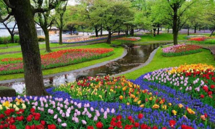 Kampoeng Tulip via Google Maps, 1. Gunung Tangkuban Perahu, 2. Trans Studio Bandung, 3. Wisata Kawah Putih Ciwidey, 4. Curug Dago di Bandung, 5. Wisata Belanja Pasar Baru di Bandung, 6. Wisata Edukasi Observatorium Bosscha di Bandung, 7. Wisata Alam Danau Situ Patenggang di Bandung, 8. Wisata Air Panas Ciater, 9. Wisata Kampung Gajah di Bandung (Tutup Permanen), 10. Tempat Wisata Kebun Binatang di Bandung, 11. Wisata Rumah Mode Bandung, 12. Wisata Seni Saung Angklung Udjo Di Bandung, 13. Wisata Edukasi Museum Geologi Bandung, 14. Paskal Food Market, 15. Rumah Strawberry Ciwidey, 16. Cihampelas Walk, 17. Museum Konferensi Asia Afrika, 18. Museum Sri Baduga Bandung, 19. Taman Lalu Lintas Ade Irma Suryani, 20. Kolam Renang Karang Setra, 21. Taman Wisata Alam Maribaya, 22. Kawasan Punclut Bandung Utara, 23. Kebun Bunga Cihideung, 24. Tempat Wisata De’Ranch, 25. Wisata Kuliner Floating Market, 26. Perkebunan Teh Rancabali, 27. Wisata Air Panas Ciwalini, 28. Wisata Bumi Perkemahan Ranca Upas, 29. Little Seoul Bandung, 30. Dusun Bambu Lembang, 31. Taman Hutan Raya Ir Djuanda, 32. Curug Upas, 33. Ciwidey Valley Resort, 34. Sendang Kahuripan, 35. Situ Cileunca, 36. Taman Balai Kota, 37. Gunung Puntang, 38. Stone Garden, 39. Chinatown Bandung, 40. Bird Pavilion, 41. Curug Malela, 42. Tebing Keraton, 43. Puncak Bintang, 44. Amazing Art World, 45. Street Gourmet, 46. Curug Cimahi, 47. Tafso Barn, 48. Sanghyang Heuleut, 49. The Great Asia Afrika, 50. Tebing Citatah, 51. Jalan Braga, 52. D’Dieuland, 53. Jembatan Kereta Api Cikudapateuh Ciwidey, 54. Upside Down World Bandung, 55. Orchid Forest Cikole, 56. Kebun Teh Sukawana, 57. Kampoeng Tulip, 58. Kampung Pasir Ipis, 59. Kebun Bunga Begonia, 60. Wisata Grafika Cikole, 61. Pine Forest Camp Lembang, 62. The Lodge Maribaya, 63. Farm House Susu Lembang, 64. Glamping Lakeside, 65. Curug Keraton Cibodas, 66. Curug Layung Lembang, 67. Curug Tilu Leuwi Opat, 68. Jendela Alam, 69. Ciwangun Indah Camp (CIC) Lembang, 70. Taman Miniatur Kereta Api, 71. Lereng Anteng Panoramic Coffee, 72. Gunung Putri Lembang, 73. Kawasan Berkuda Ganesha H Equestrian, 74. Bukit Labyrinth Ganesha H Equestrian, 75. Bukit Pangjebolan Lembang, 76. Argowisata Kawah Rengganis, 77. Pemandian Air Panas Ciwalini, 78. Curug Cipanji Bandung, 79. Wisata Air Curug Tilu, 80. Bukit Jamur Rancabolang Ciwidey, 81. Barusen Hills, 82. Kampung Cai Rancaupas, 83. Bumi Perkemahan Ranca Cangkuang, 84. Cimanggu Hot Spring & Cottage, 85. Taman Kelinci Ciwidey, 86. Danau eMTe Highland Resort, 87. Green Hill Park TWA Cimanggu