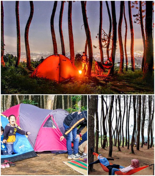 Karacak Valley via IG @ raffa.fath @ayi_salon, 1. Wisata Gunung Papandayan , 2. Wisata Gunung Cikuray , 3. Wisata Gunung Guntur , 4. Tempat Wisata Situ Bagendit di Garut , 5. Wisata Situ dan Candi Cangkuang , 6. Wisata Pemandian Air Panas Cipanas, 7. Wisata Pemandian Air Panas Darajat , 8. Wisata Kawah Putih Talaga Bodas , 9. Wisata Arung Jeram Sungai Cimanuk , 10. Wisata Tebing Alam Batu Tumpang , 11. Wisata Pantai Santolo , 12. Wisata Pantai Sayang Heulang , 13. Wisata Pantai Rancabuaya , 14. Tempat Wisata Taman Satwa Cikembulan di Garut , 15. Wisata Curug Citiis , 16. Wisata Curug Orok , 17. Pantai Puncak Guha di Garut, 18. Wisata Pantai Cijeruk Indah, 19. Wisata Pantai Karang Paranje, 20. Kampung Sampireun, 21. Sabda Alam Cipanas, 22. Kawah Darajat Garut, 23. Curug Cimandi Racun, 24. Curug Sang Hyang Taraje, 25. Kebun Mawar Situhapa Garut, 26. Kawah Kamojang, 27. Pantai Cicalobak, 28. Pantai Taman Manalusu, 29. Perkebunan Teh Dayeuh Manggung, 30. Kolam Air Panas Cikarees, 31. Bukit Pilar Angin, 32. Leuweung Oko D’Great, 33. Leuwi Tonjong, 34. Bukit Palahlar, 35. Bukit Nangklak, 36. Pusat Konservasi Elang Kamojang, 37. Curug Cikawung, 38. Curug Cibadak, 39. Batu Patapaan, 40. Gunung Piramida Sadahurip, 41. Curug Nyogong, 42. Leuwi Korsi, 43. Leuwi Jurig, 44. Leuwi Jubleg, 45. Bukit Teletubbies Pasir Pogor, 46. Karacak Valley, 47. Cilopang Adventure Camp, 48. Papandayan Leisure Park, 49. River Tubing Cikaengan, 50. Curug Batu Nyusun, 51. Curug Ciarjuna, 52. Hutan Mati Gunung Papandayan